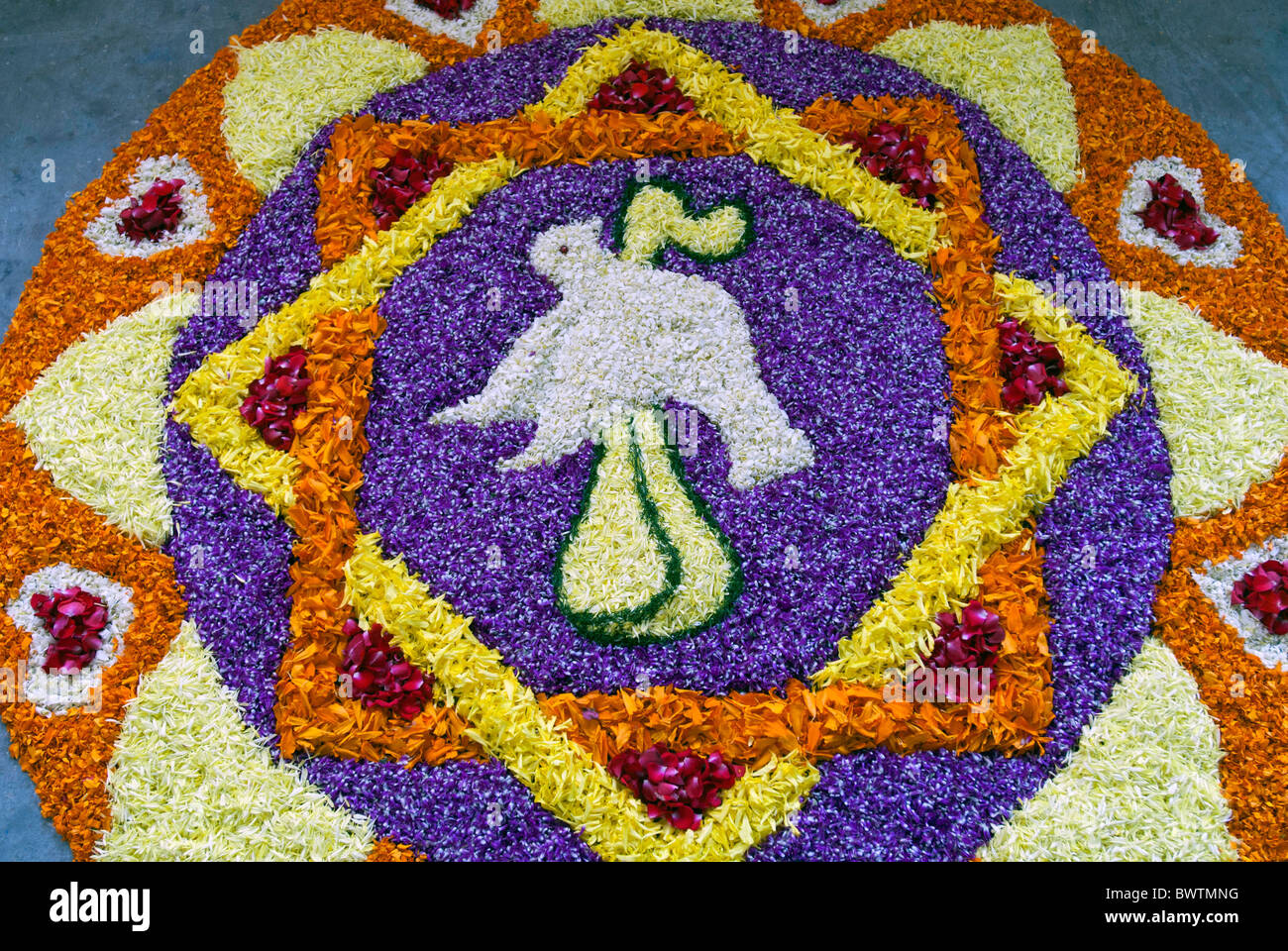 Decorazioni di fiori per il festival di onam, Kerala. India. Foto Stock