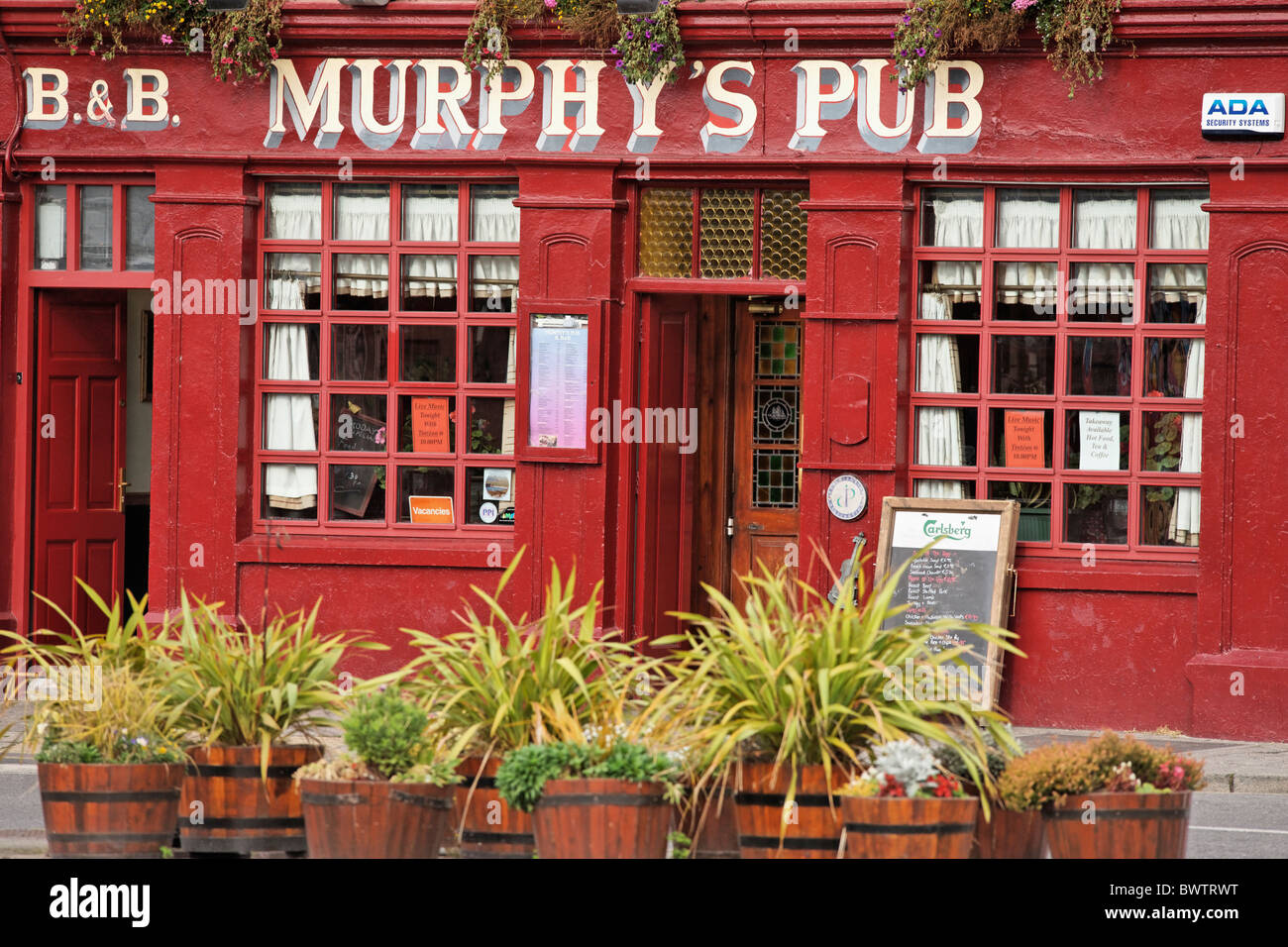 Murphy's Pub, Dingle, nella contea di kerry, munster, irlanda, Foto Stock