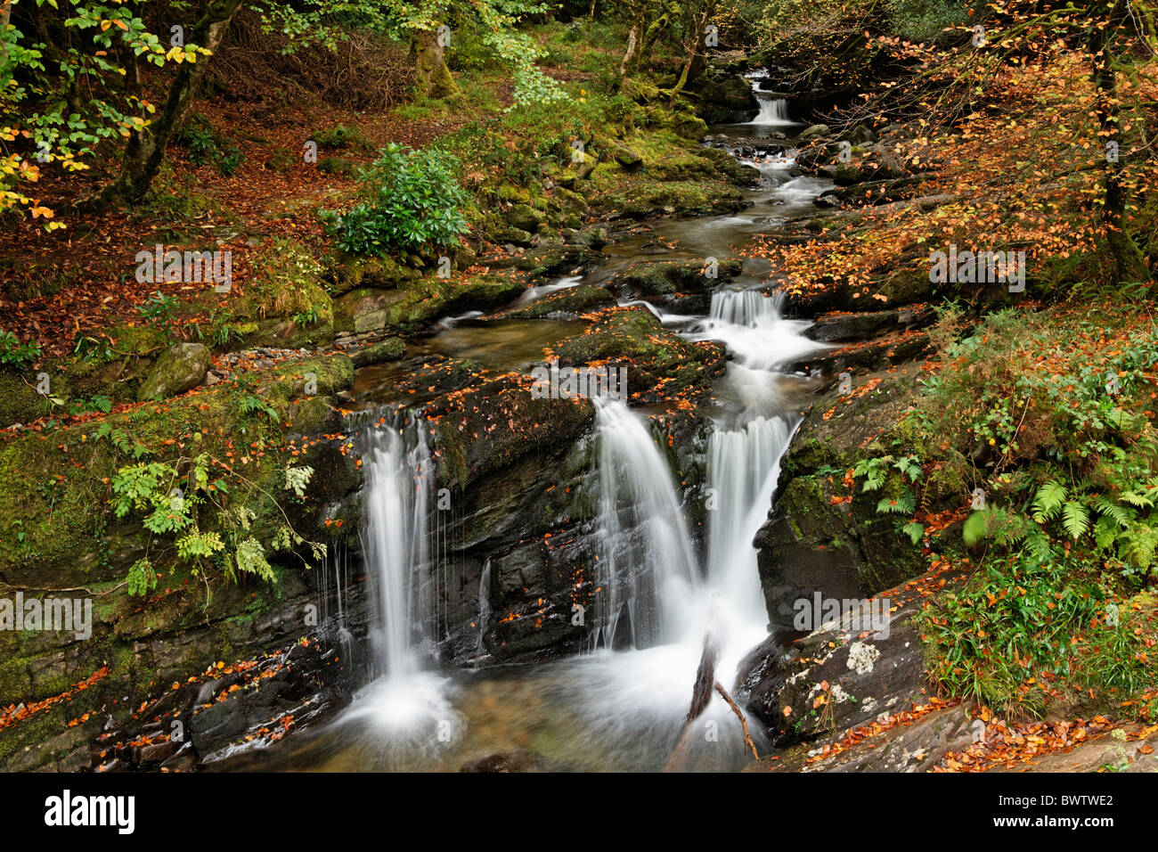 Il fiume Torc, Parco Nazionale di Killarney, nella contea di kerry, munster, irlanda. Foto Stock