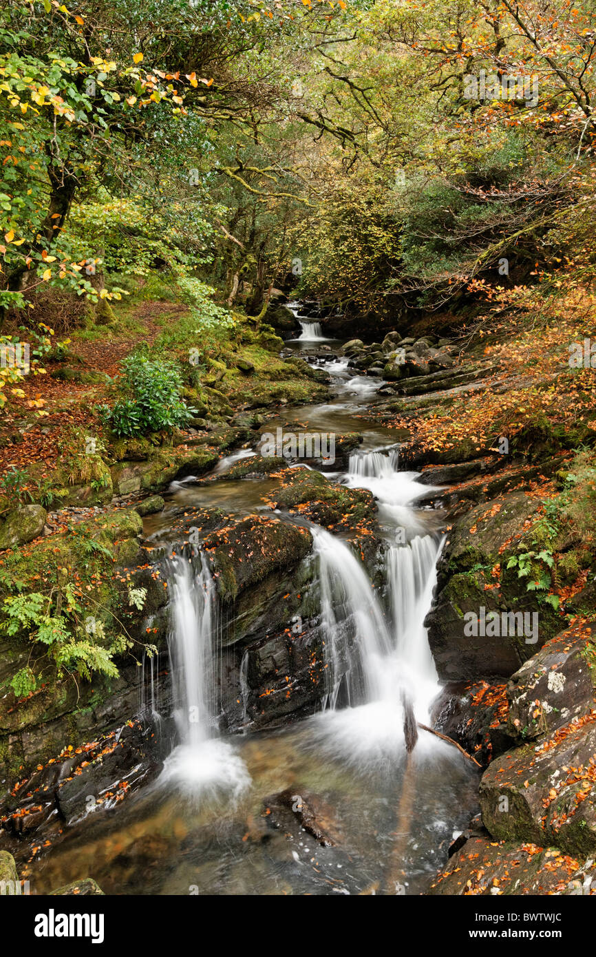 Il fiume Torc, Parco Nazionale di Killarney, nella contea di kerry, munster, irlanda. Foto Stock