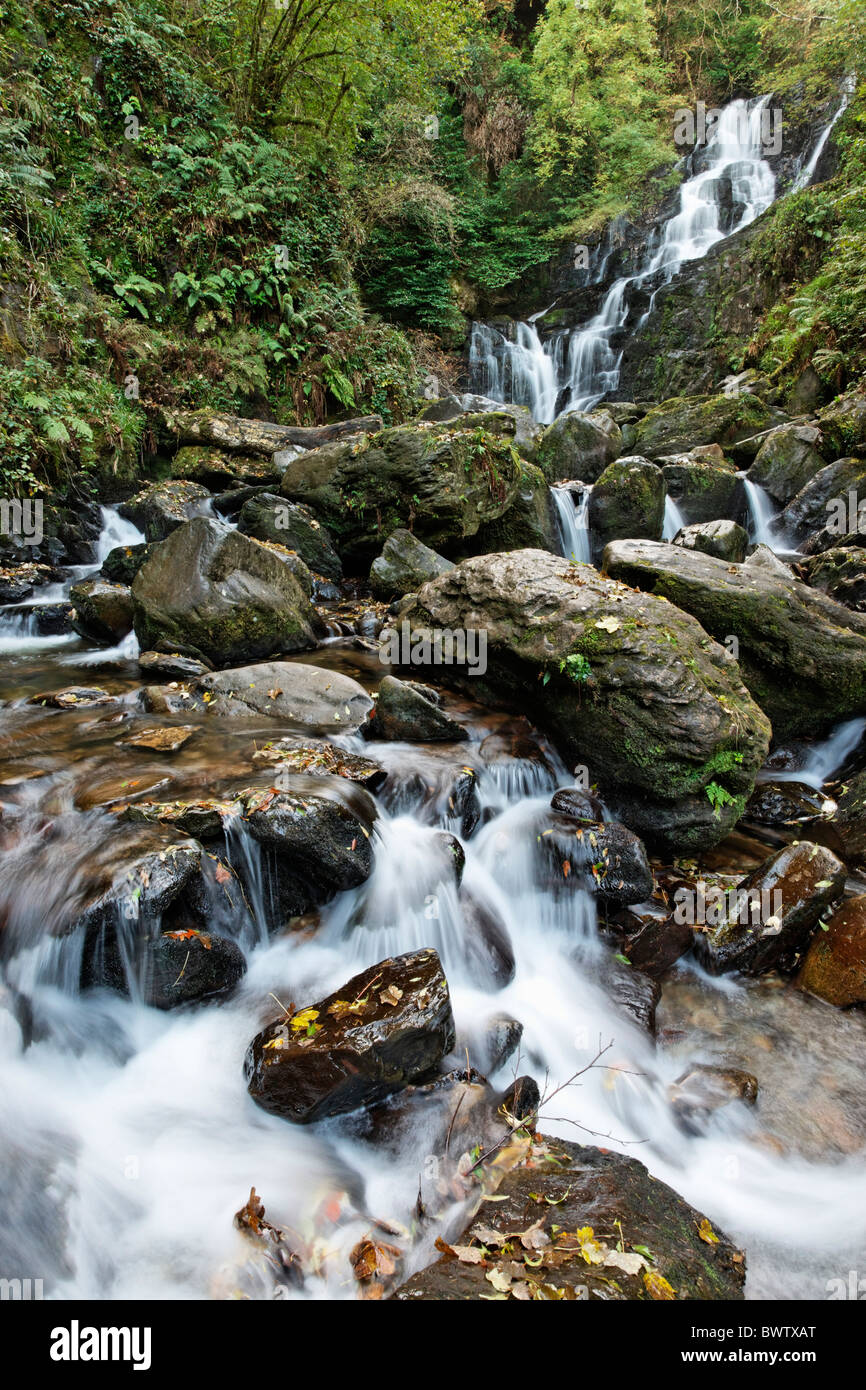 Cascata Torc, Parco Nazionale di Killarney, nella contea di kerry, munster, irlanda. Foto Stock