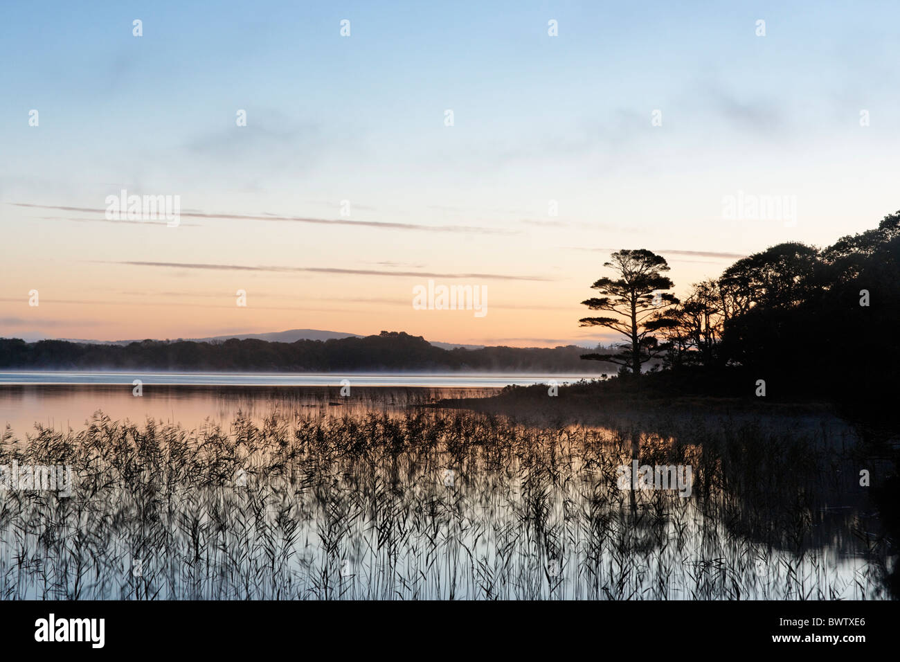 Muckross Lake all'alba. Parco Nazionale di Killarney, nella contea di kerry, munster, irlanda. Foto Stock