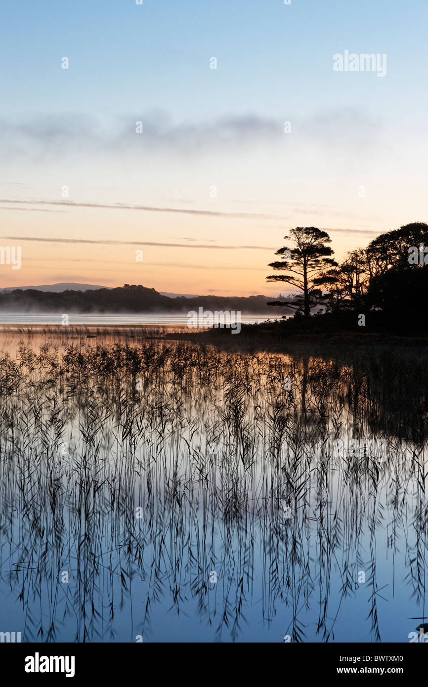 Muckross Lake all'alba. Parco Nazionale di Killarney, nella contea di kerry, munster, irlanda. Foto Stock