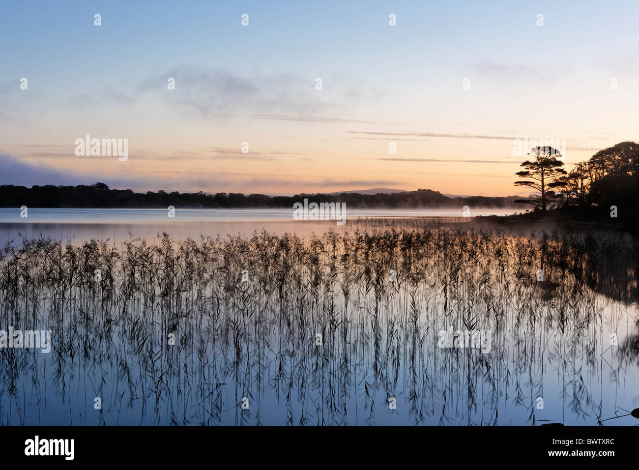 Muckross Lake all'alba. Parco Nazionale di Killarney, nella contea di kerry, munster, irlanda. Foto Stock