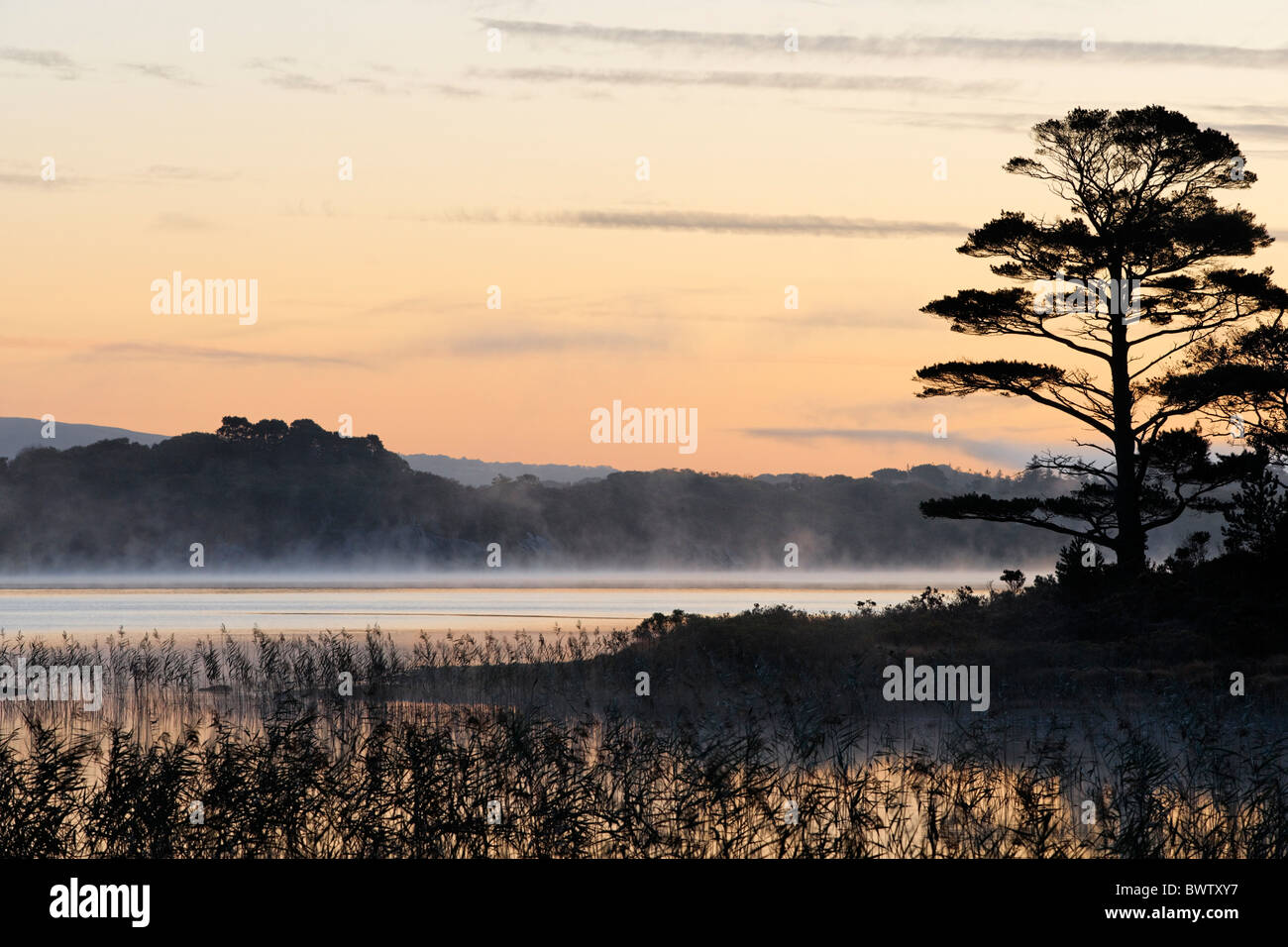 Muckross Lake all'alba. Parco Nazionale di Killarney, nella contea di kerry, munster, irlanda. Foto Stock