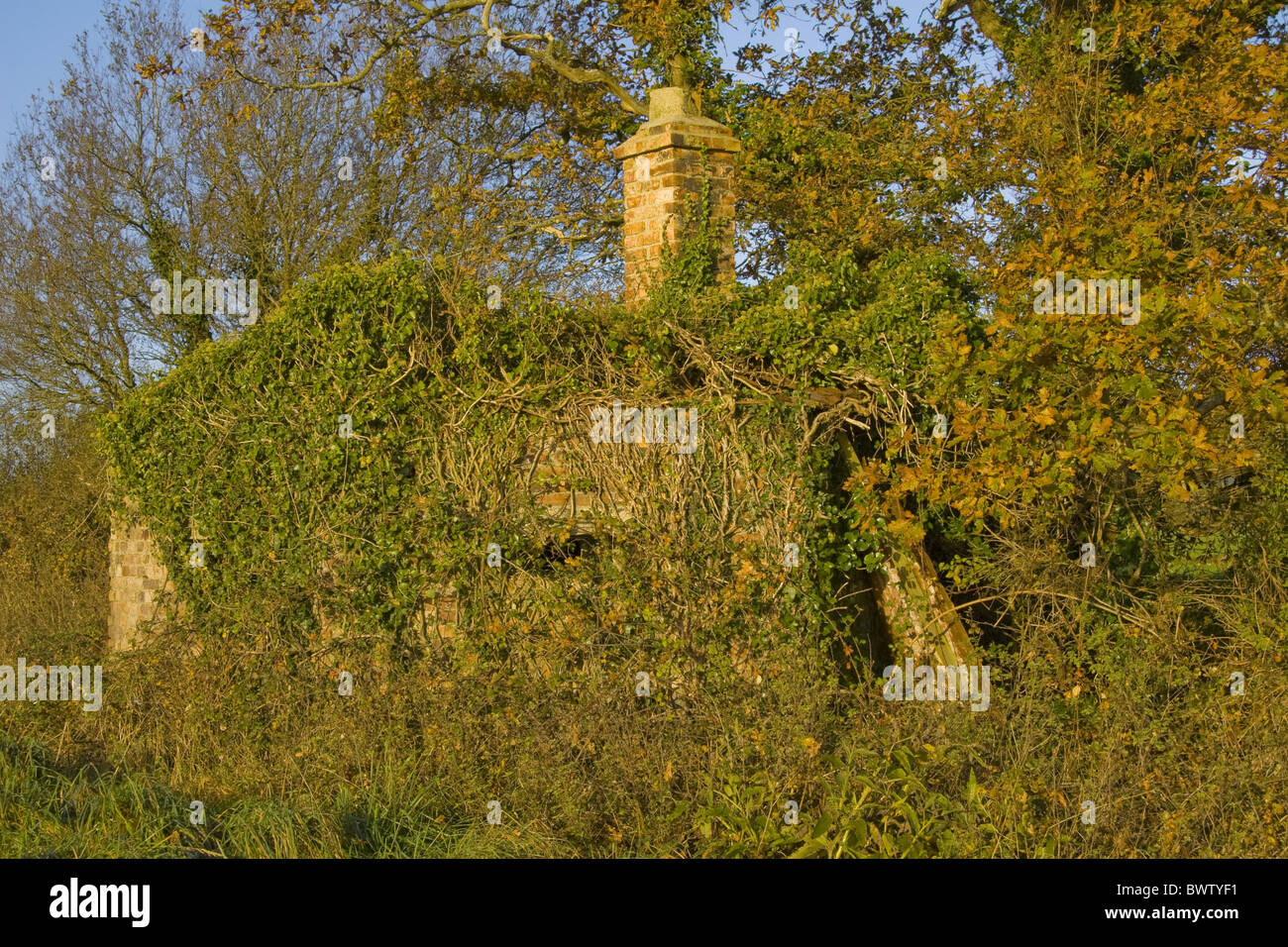 Abbandonare l'architettura abbandonati Autunno Autunno mattone autunnale Gran Bretagna British Bunker Bunker di calcestruzzo camino paese Campagna Foto Stock