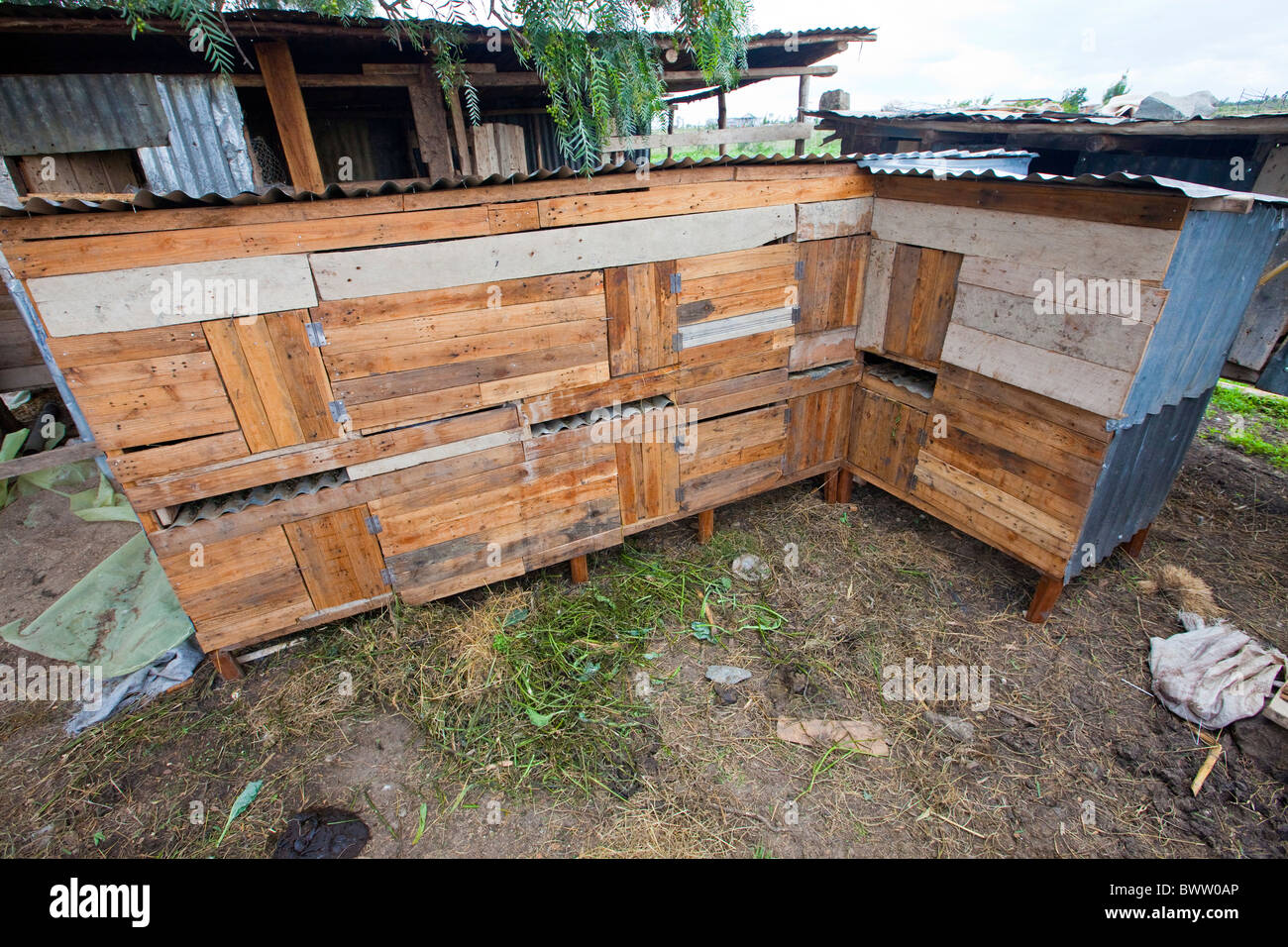 Hutches Rabit, Maji Centro Mazuri, Nairobi, Kenia Foto Stock