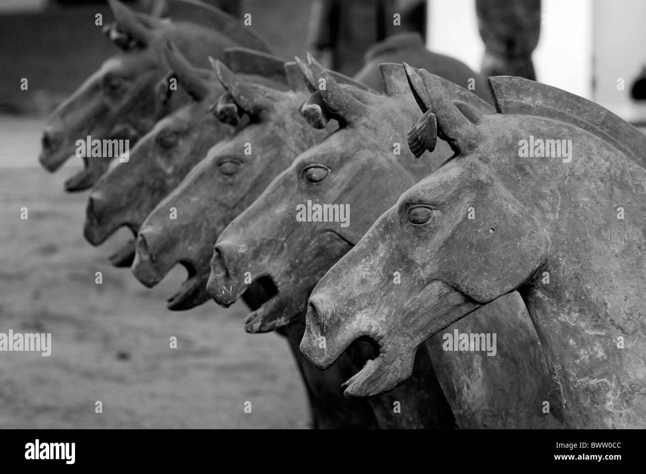 Guerrieri di Terracotta cavalli, Xi'an, Cina Foto Stock