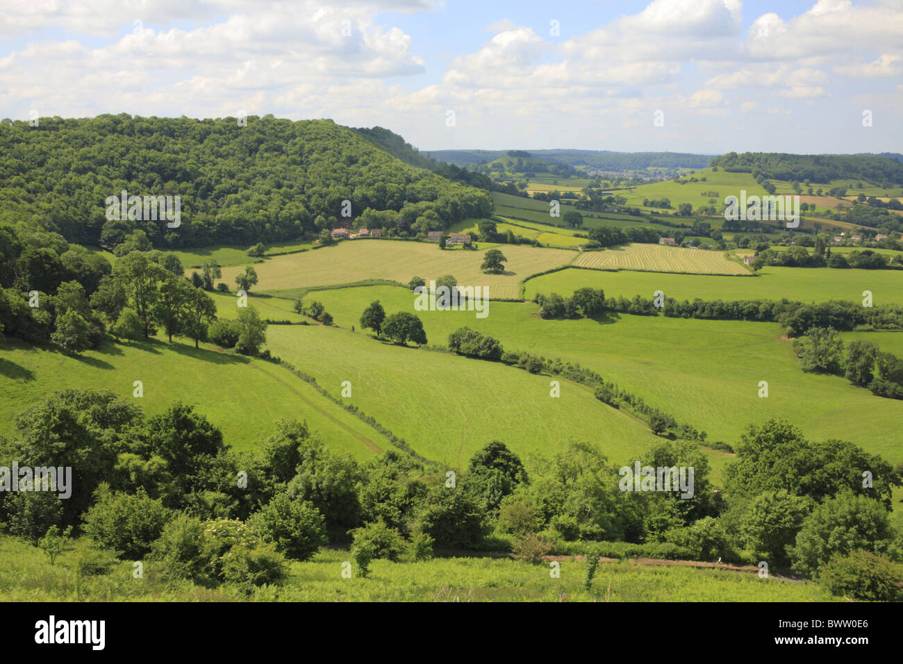 Cotswolds scarpata scena di paesaggio paesaggio collinare di legno collinare campo hedge gloucestershire england inglese gran bretagna british woodland Foto Stock