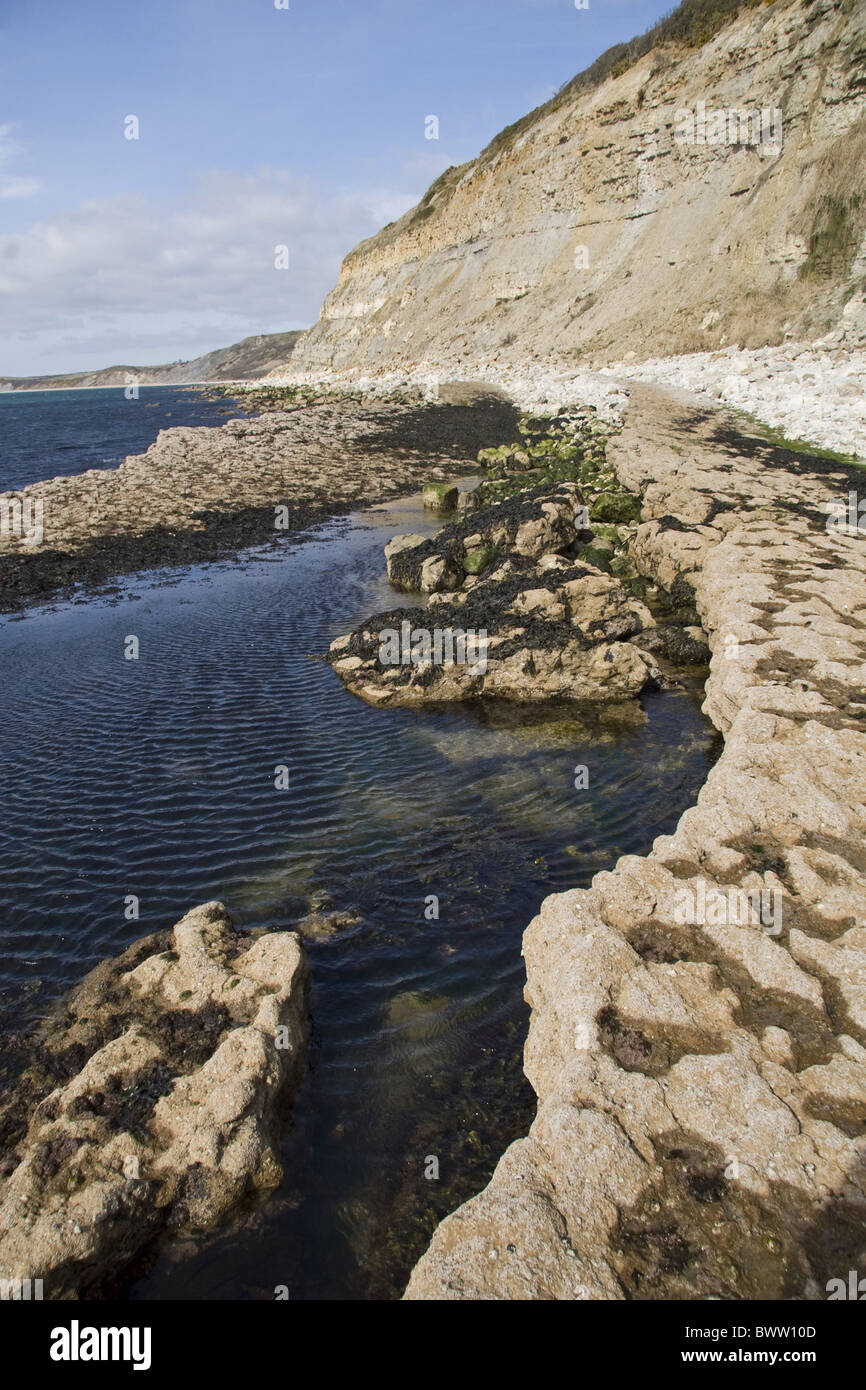 La gran bretagna british Inghilterra geologia inglese geologico costa geologica delle coste marine costiere sito patrimonio mondiale jurassic rock rocce Foto Stock