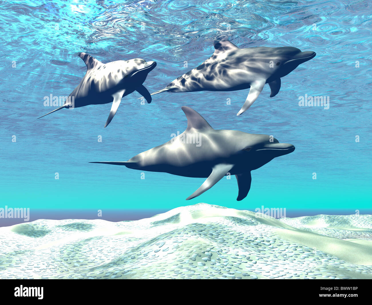 I Delfini - Tre i delfini nuotare nel corso di una barriera corallina di sabbia. Foto Stock