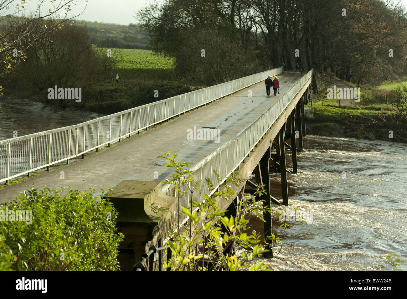 Autunno Avenham Park Bridge Lancashire Preston Ribble città parco fiume alberi gran bretagna british english Inghilterra paese scenic Foto Stock