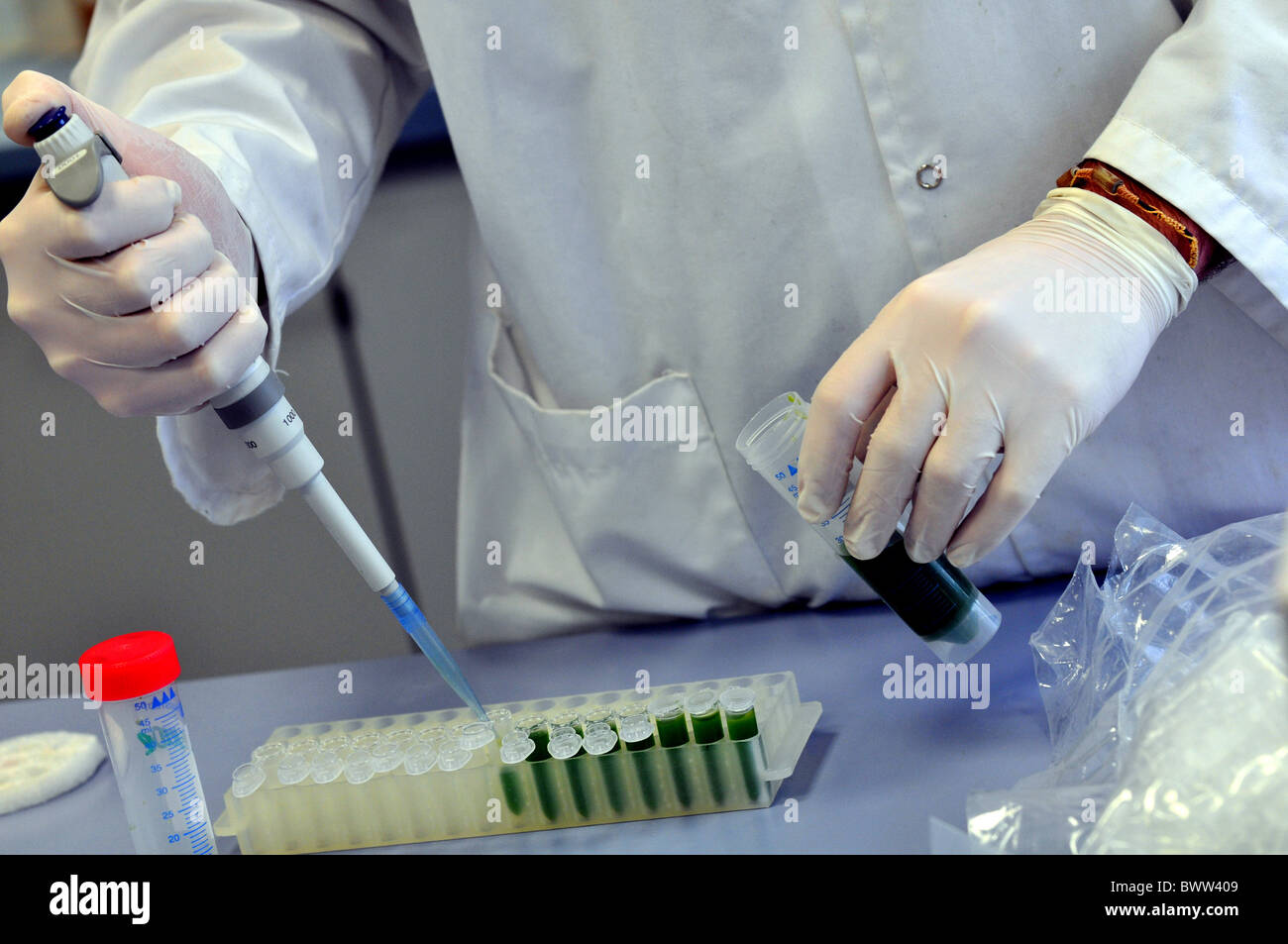 Bio-carburante, ricerca nazionale per le energie rinnovabili o Centro CENER un laboratorio complesso, Navarra, Spagna. Foto Stock