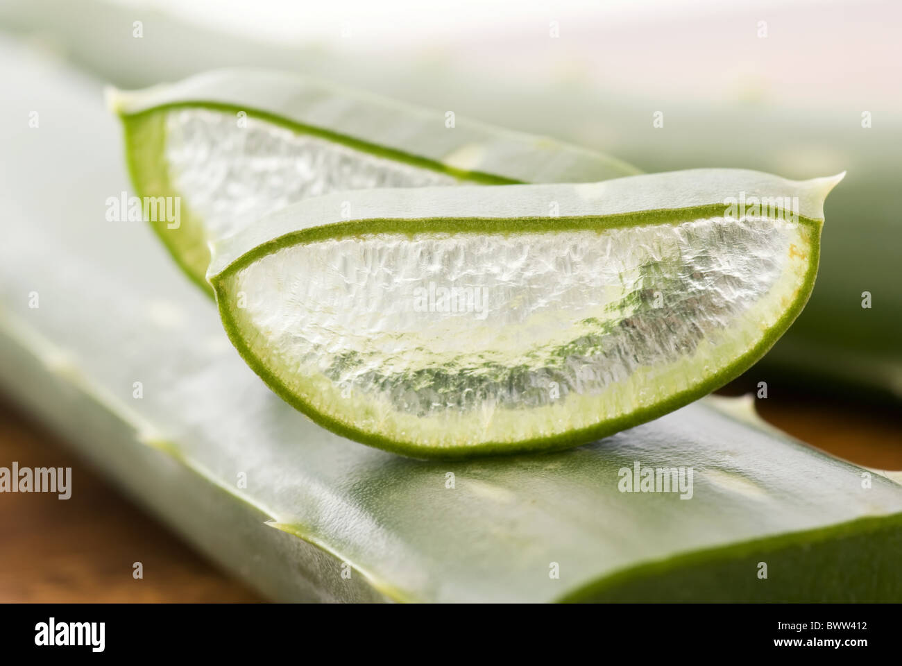 Aloe foglie con taglio aloe fetta come closeup su sfondo bianco Foto Stock