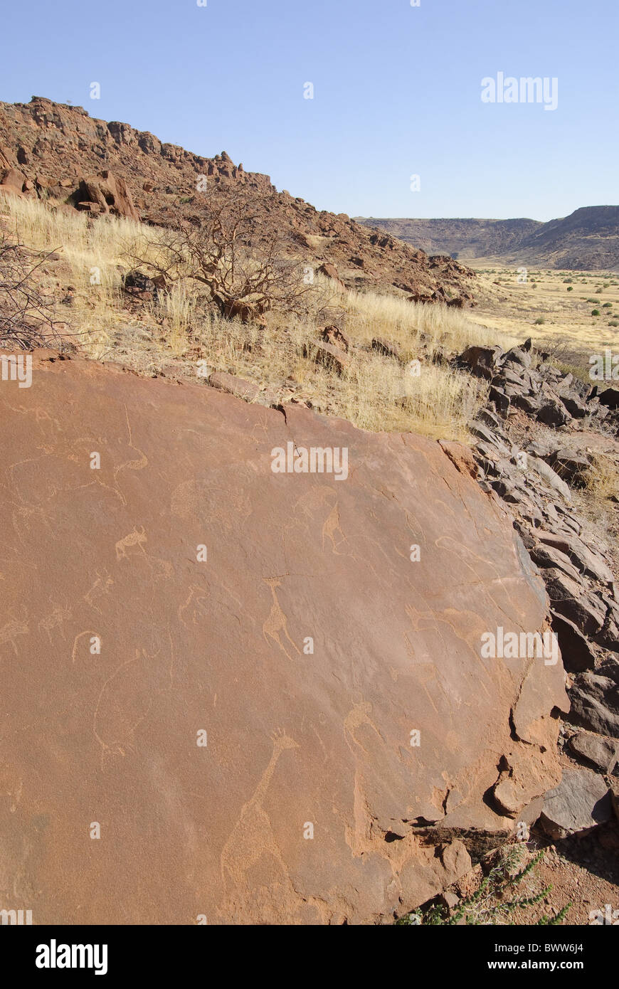 Arte arido deserto dei Boscimani incisioni namibia petroglyfs rock san twyfelfontein deserto Africa Africa Namibia Namibia paese Foto Stock