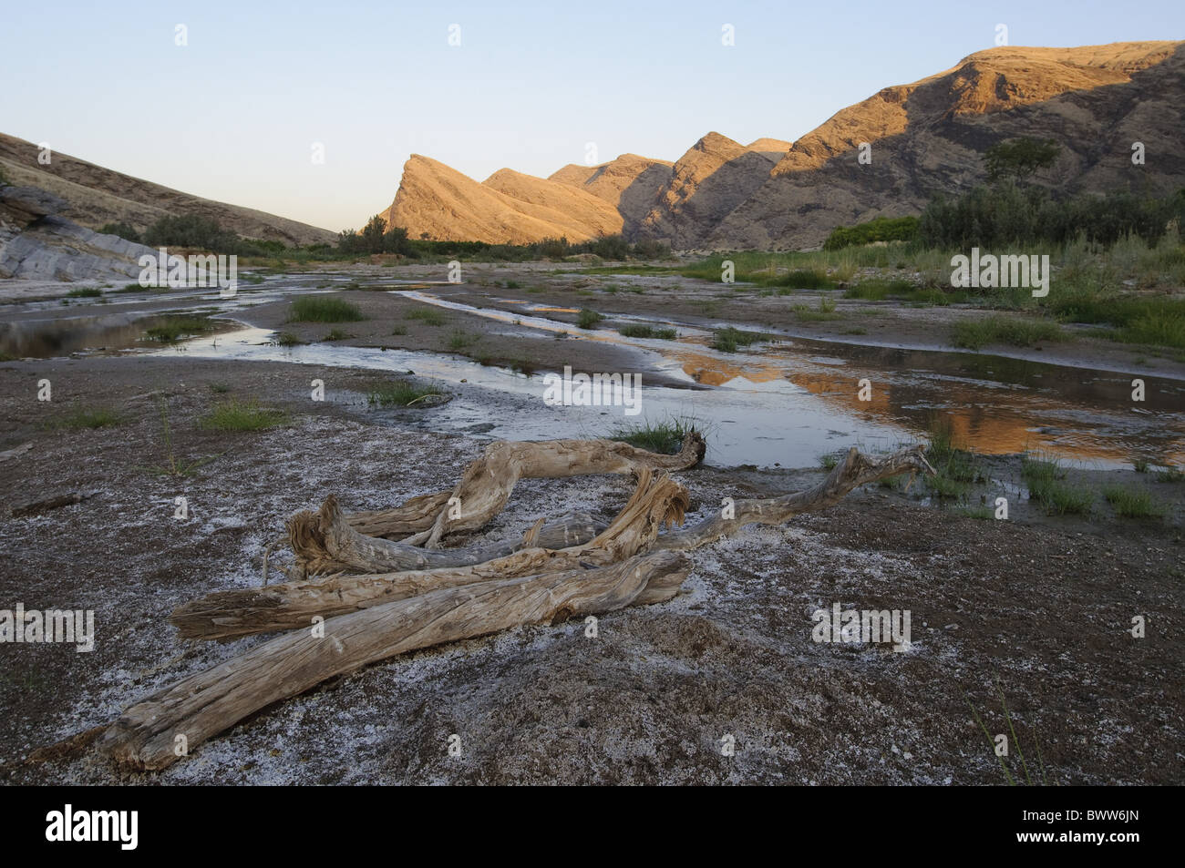 Le alghe damaraland arido deserto di flusso secco paesaggio hoanib namibia il letto del fiume roccioso sesfontien rare acqua di montagna africani in Africa Foto Stock