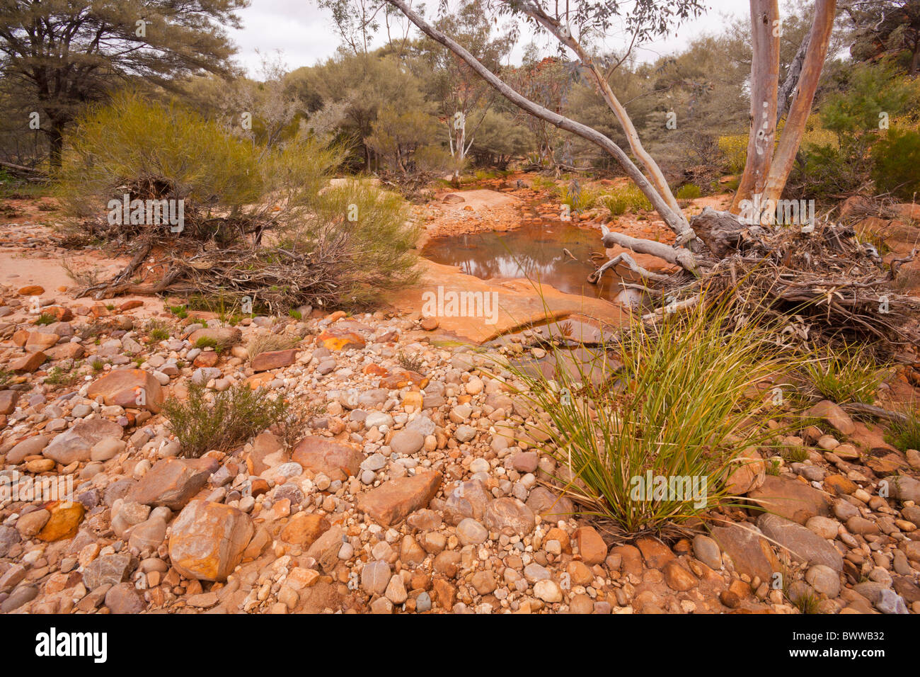 Rocky creek letto di Homestead Creek in Mutawintji National Park Foto Stock