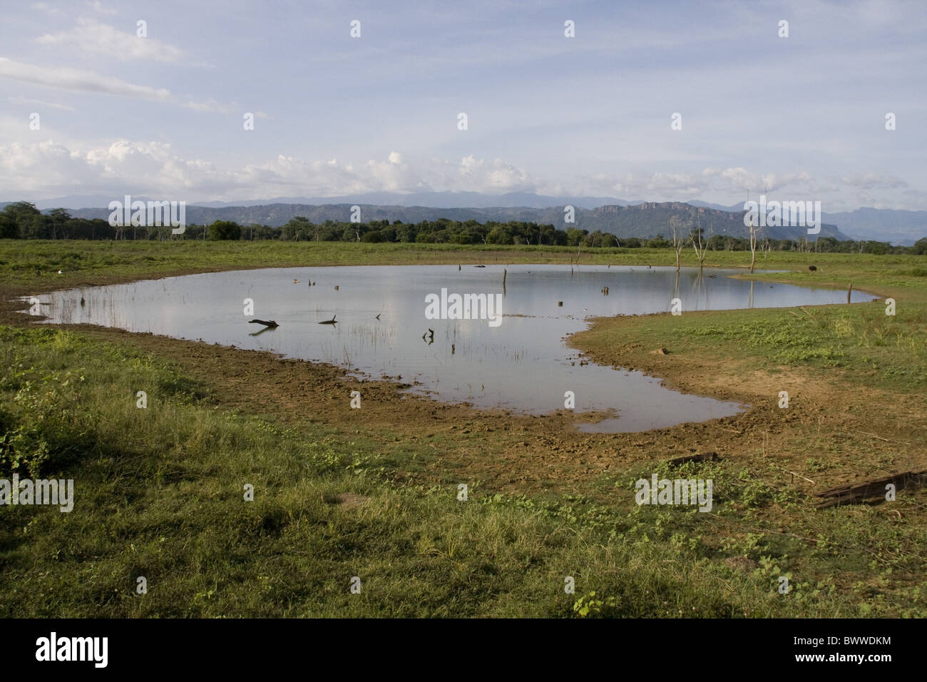 Udawalawe parco nazionale, Sri Lanka - parco consiste di estratto secco di foresta di pianura, foresta fluviale, scrublands spinose e praterie. Foto Stock