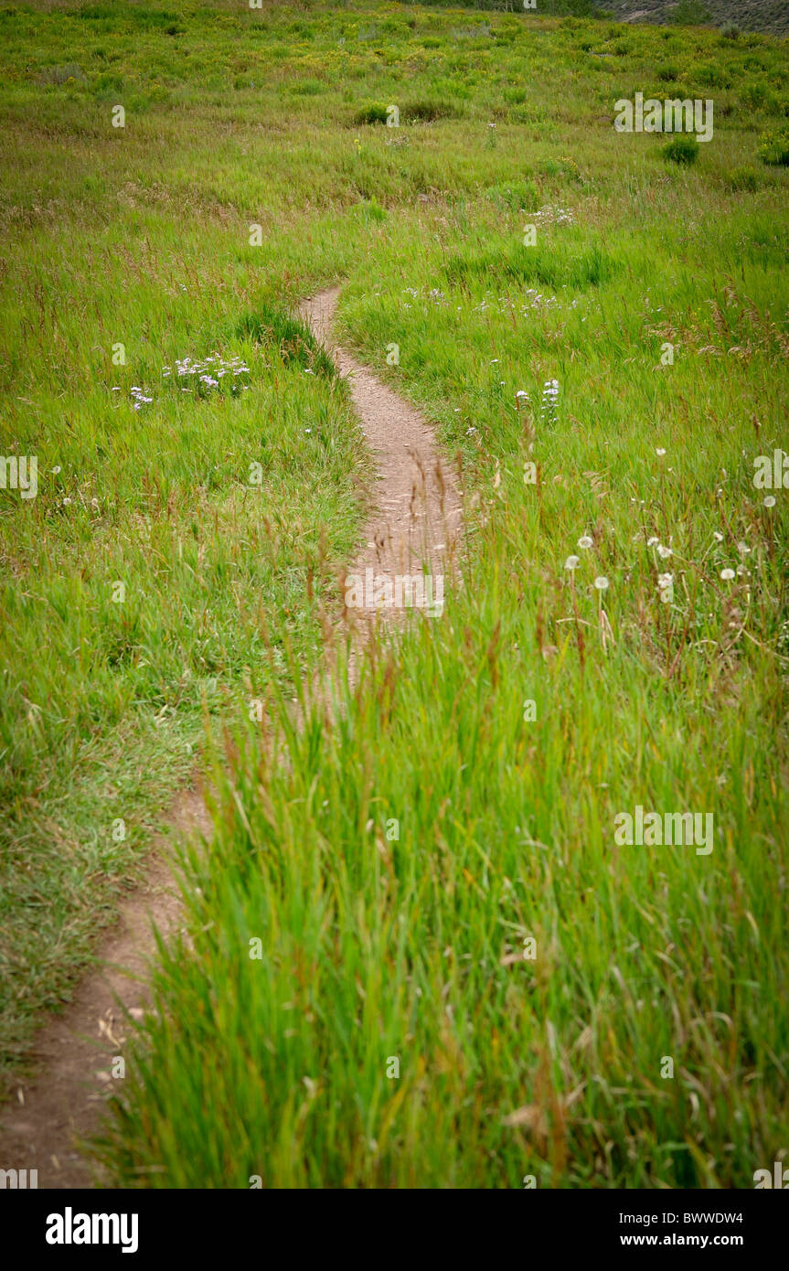 Percorso a piedi il sentiero non asfaltato naturale Foto Stock