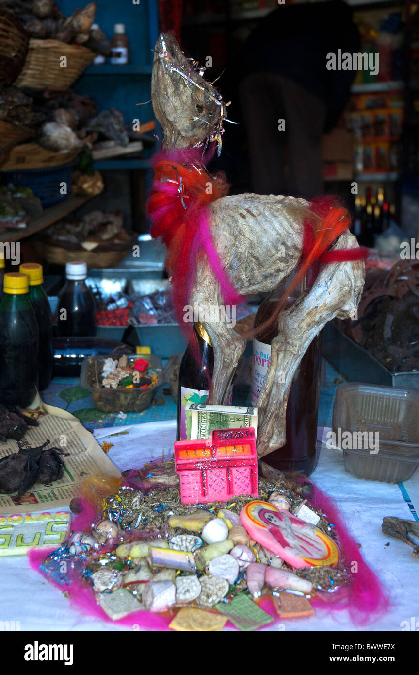 Tutti i tipi di oggetti per la vendita come talismano, amuleti, magia rituale e la medicina tradizionale nel mercato delle streghe, La Paz, Bolivia. Foto Stock