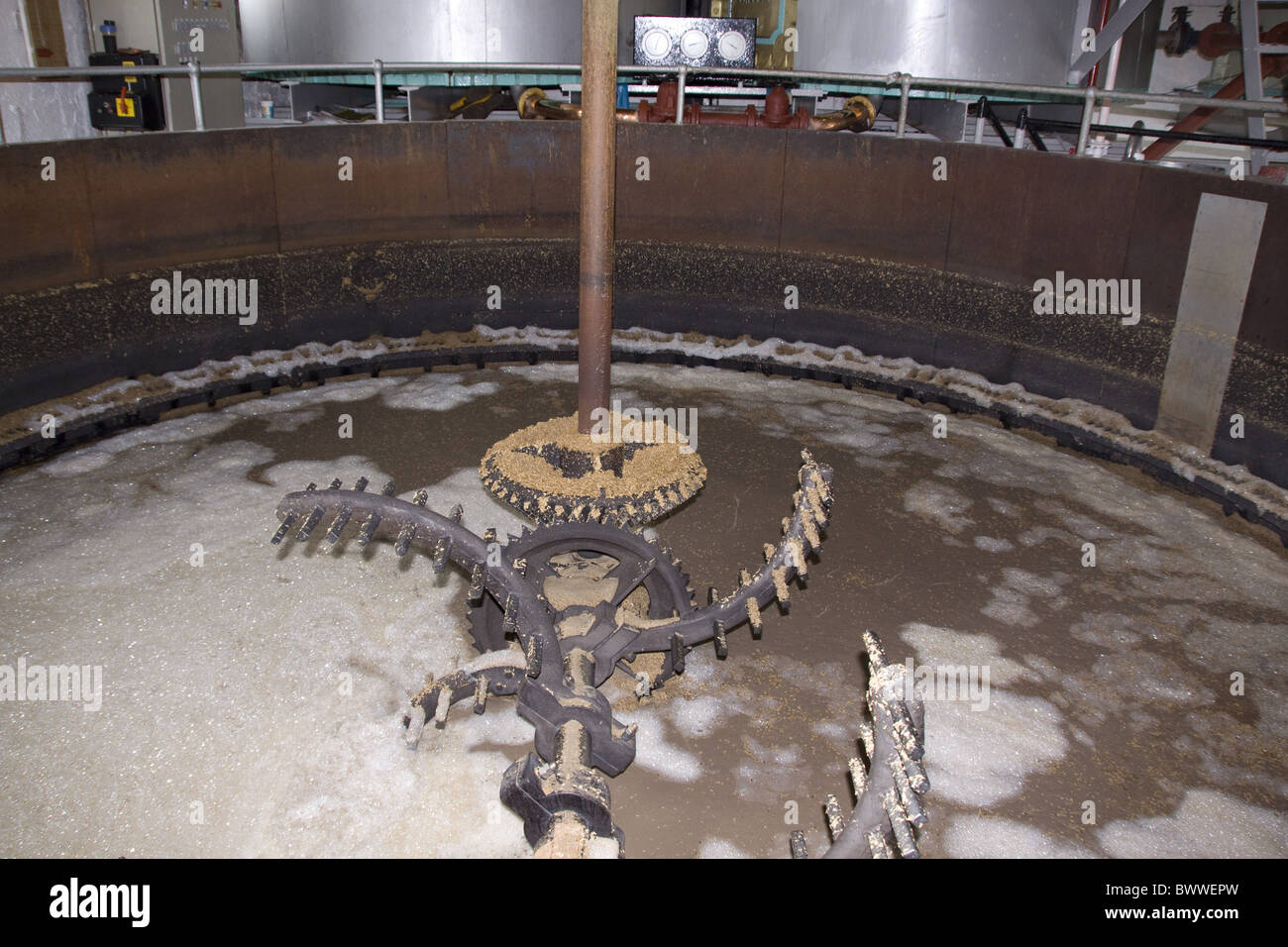 Bruichladdich malt whisky distillery su Islay. La polvere di orzo dai mulini viene alimentata nel serbatoio del mosto insieme con un Foto Stock