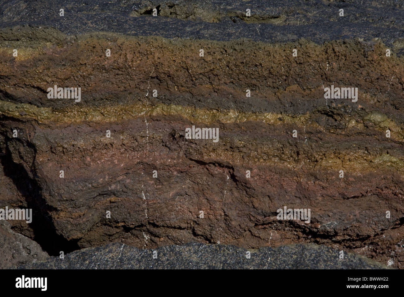 Una sezione trasversale di lava pahoehoe. - Le Galapagos Foto Stock