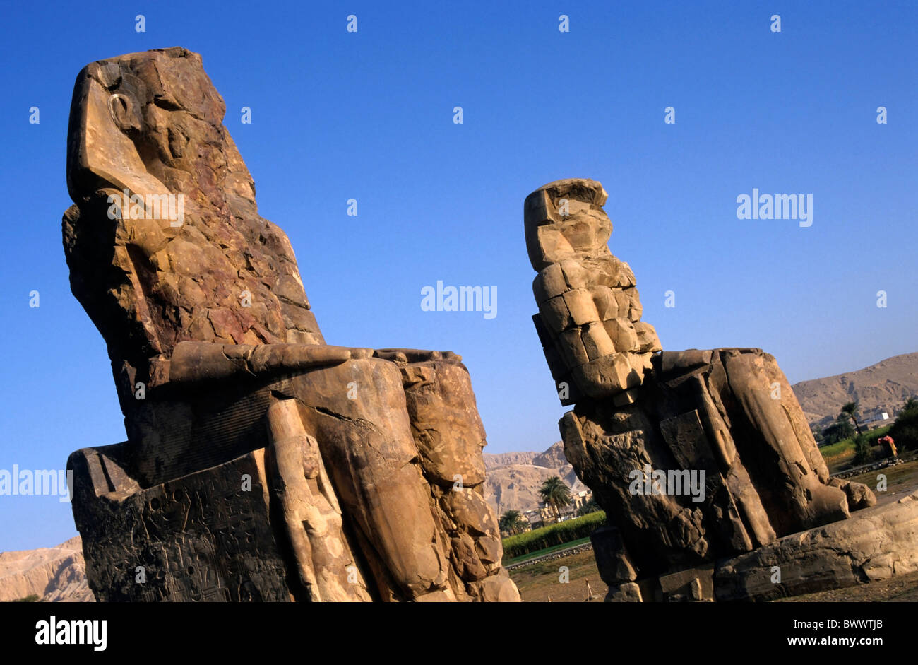 I Colossi di Memnon, due enormi statue di pietra del faraone Amenhotep III, nella necropoli tebana, Luxor, Egitto. Foto Stock I Colossi di Memnon, due enormi statue di pietra del faraone Amenhotep III, nella necropoli tebana, Luxor, Egitto. Foto Stock