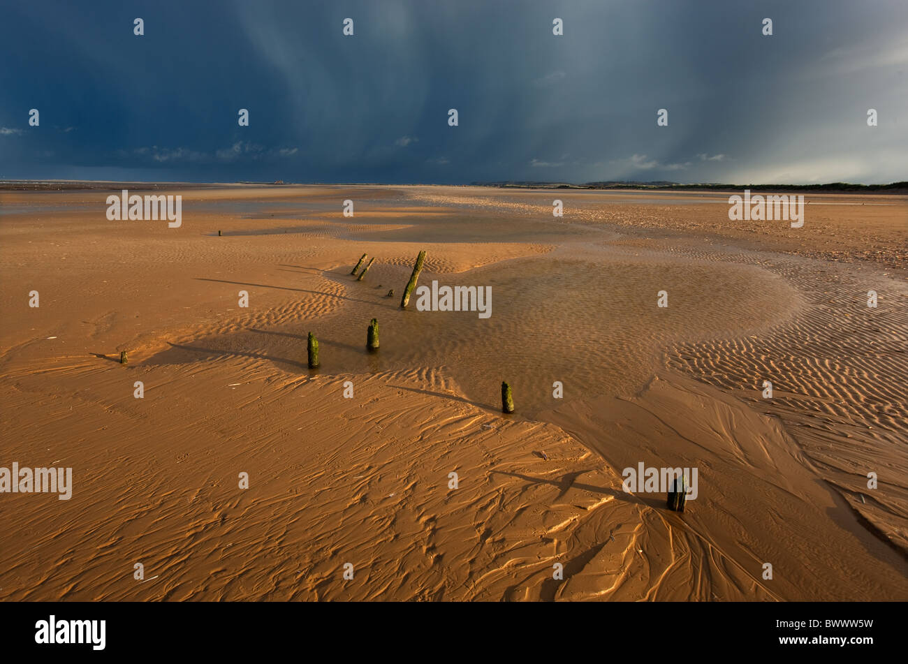 Spiaggia a RSPB Titchwell Riserva Naturale Norfolk UK Novembre Foto Stock