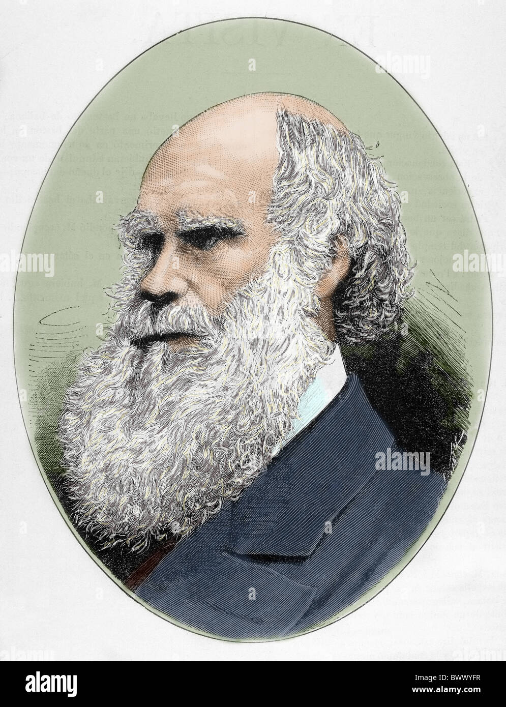 DARWIN, Charles Robert (1809-1882) naturalista britannico. Incisione colorata. Foto Stock