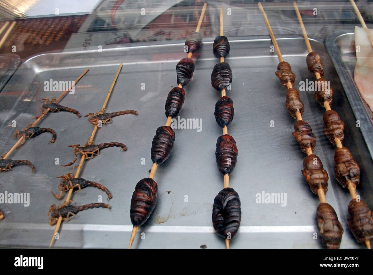 Una selezione di delicatezze su un mercato cinese compresi Scorpion e le larve. Take Away cinese in Cina. Foto Stock