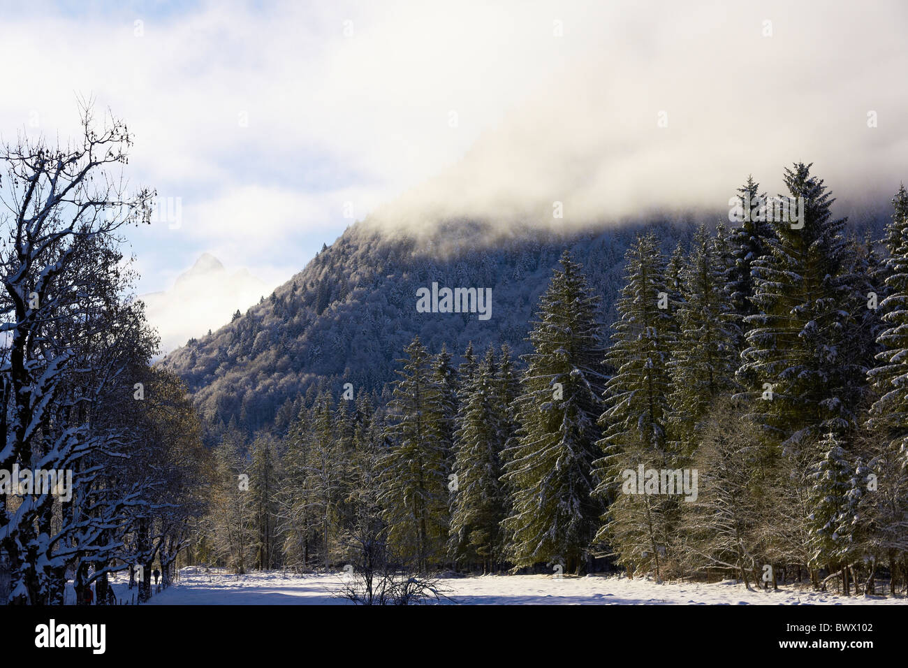 Nella valle Trettach Foto Stock