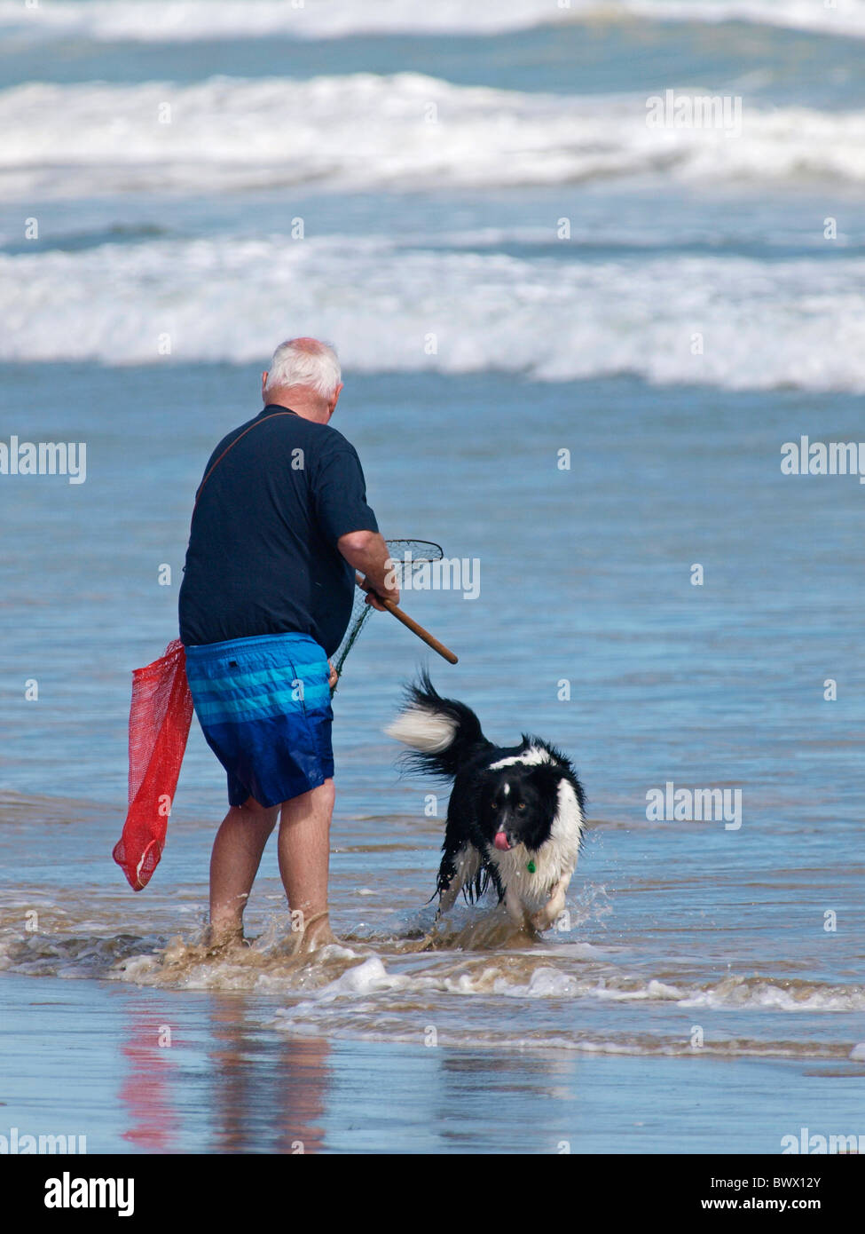 RACCOGLITRICE DI CROSTACEI CON IL SUO CANE E NET A GOOLWA BEACH SOUTH AUSTRALIA Foto Stock