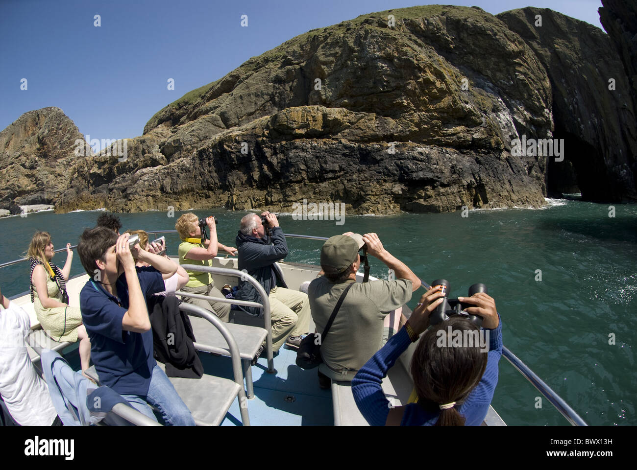 I turisti barca Bird-watching Binocolo Mare Ramsey isola St David's penisola Pembrokeshire Wales UK passatempo passatempi Foto Stock