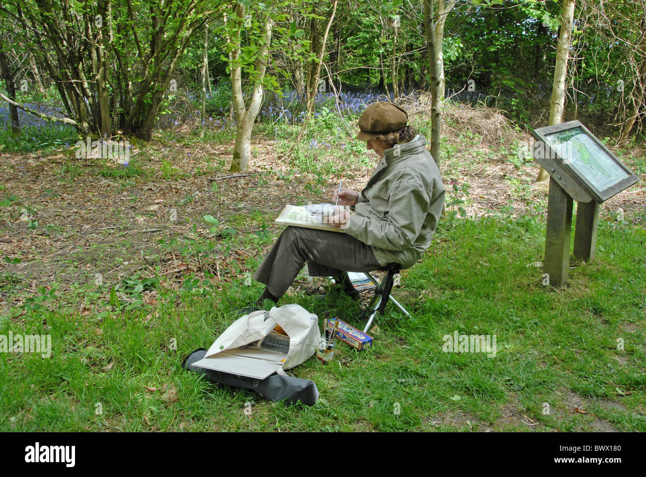 Artista bosco legno pittura acquerello woodland trust buckinghamshire chorleywood hobby abbozzare outdoor activity passatempo Foto Stock