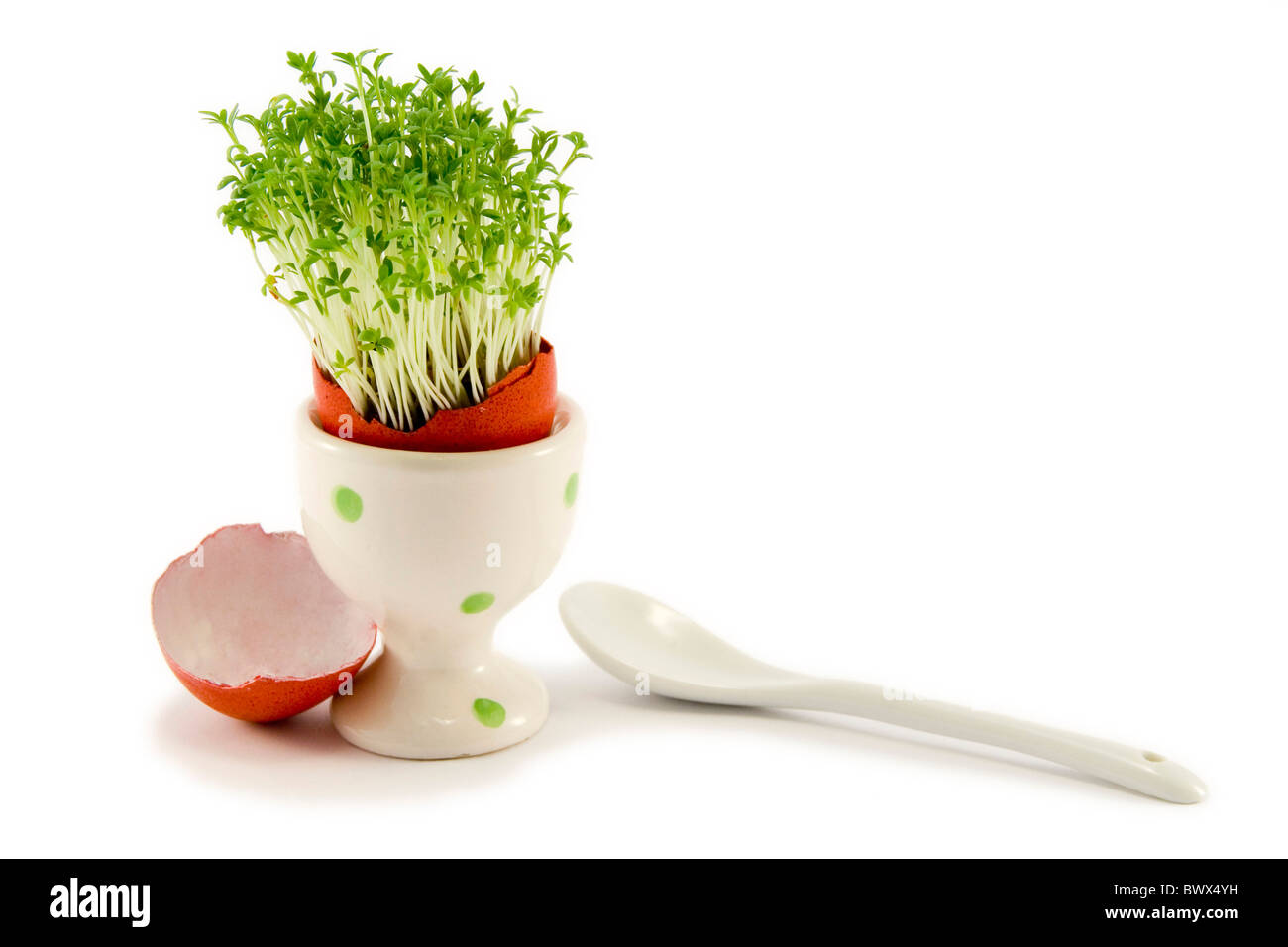 Il rosso d'uovo uovo in-cup con crescente il crescione e cucchiaino di colore bianco Foto Stock