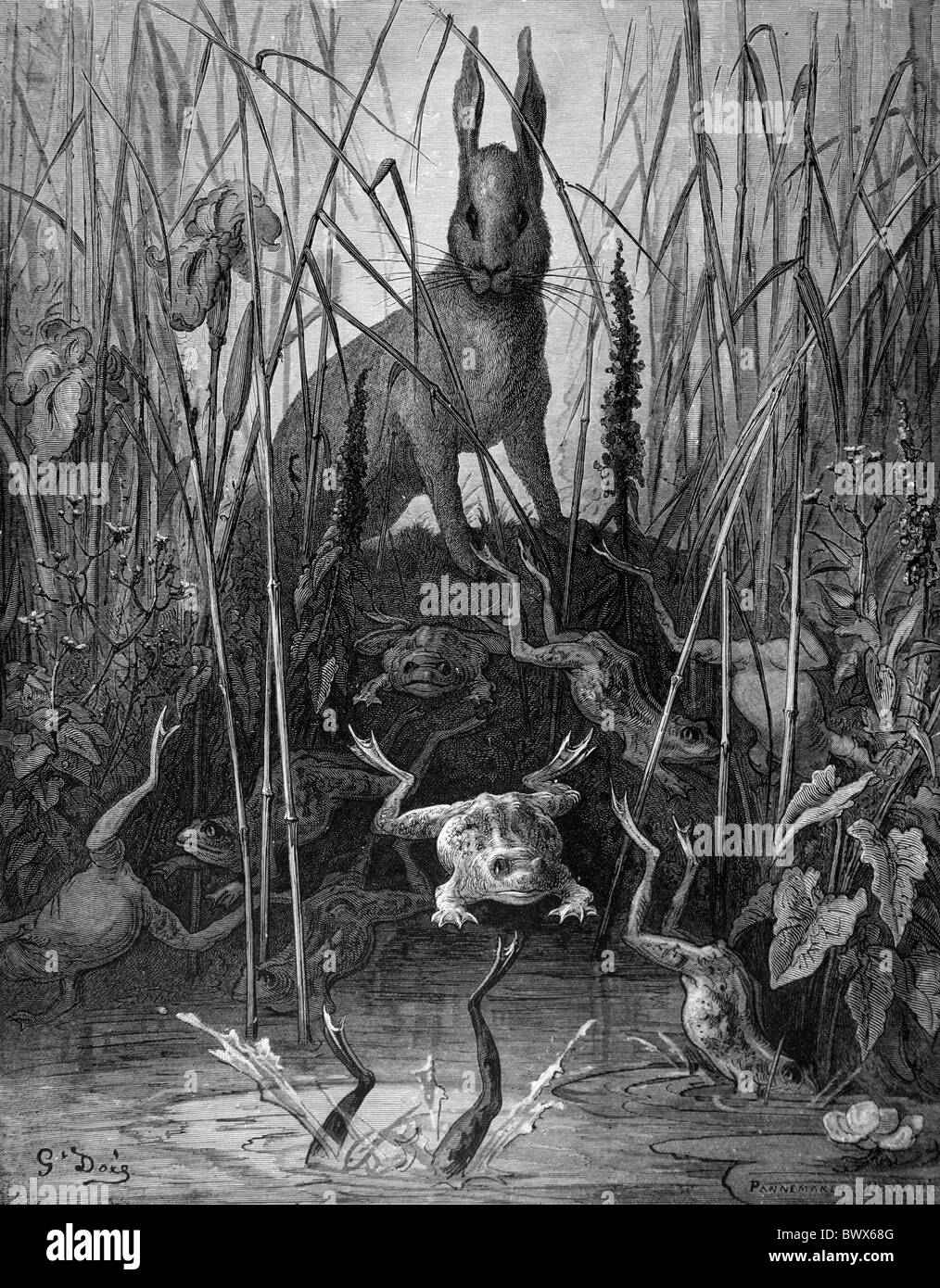 Gustave Doré; la lepre e la Rana di Jean de la Fontaine le fiabe; Bianco e Nero incisione Foto Stock