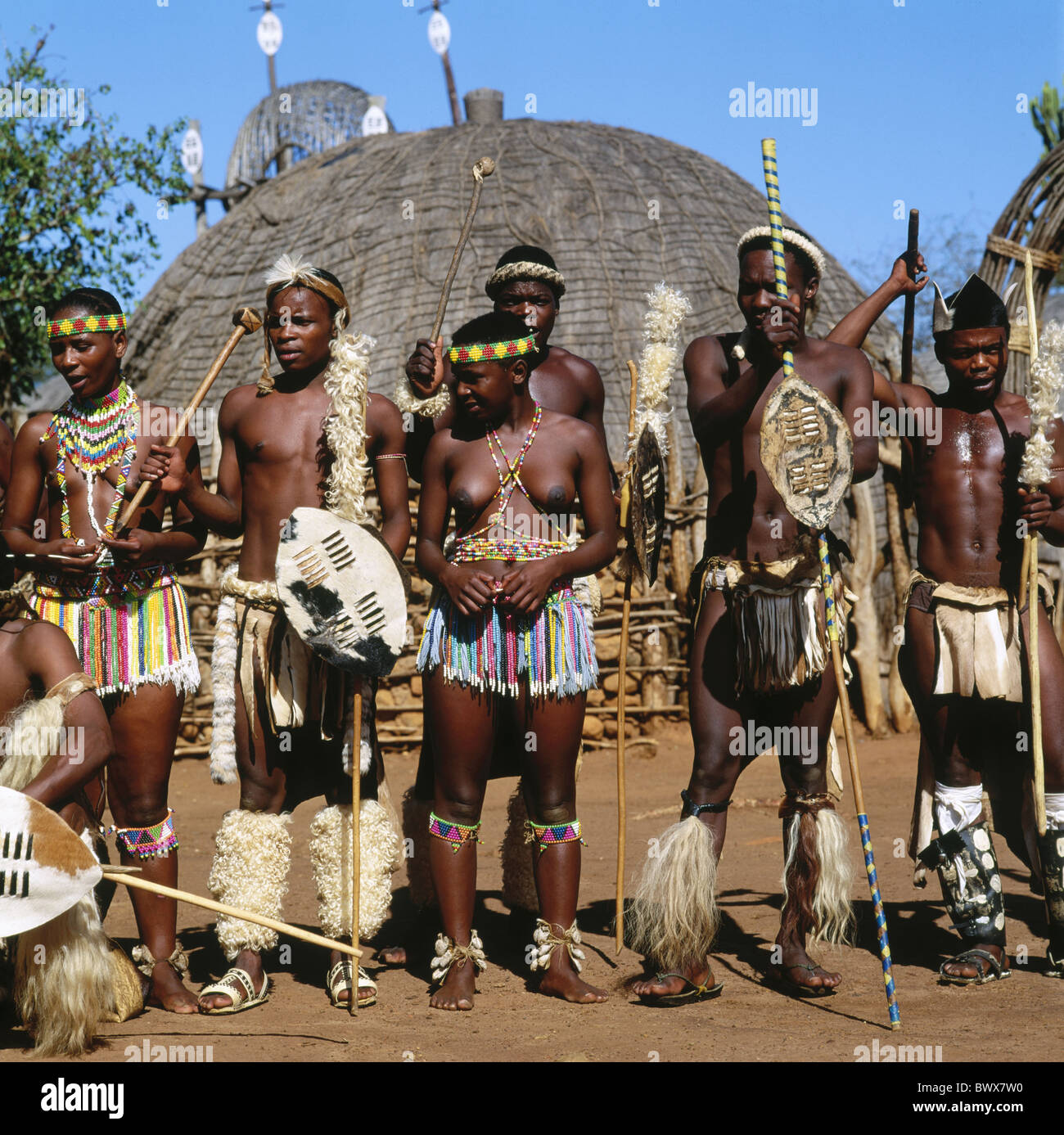 Warrior uomo ritratto tribù trunk famiglia costume nazionale Sud Africa Transvaal Zulu Foto Stock