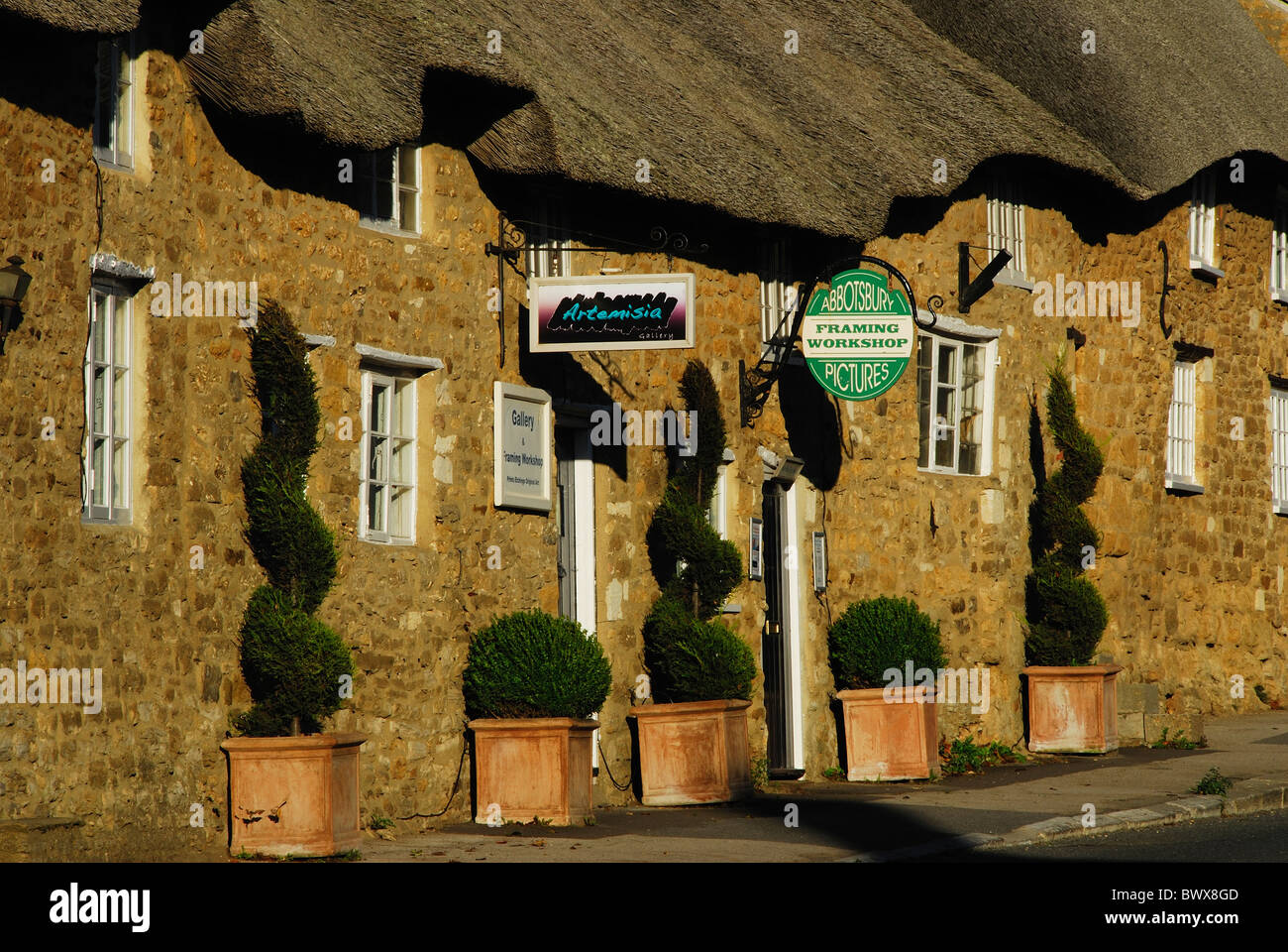 Una fila di paglia cottage in pietra arenaria con le piantatrici topiaria da in Abbotsbury, Dorset, Regno Unito Ottobre 2010 Foto Stock