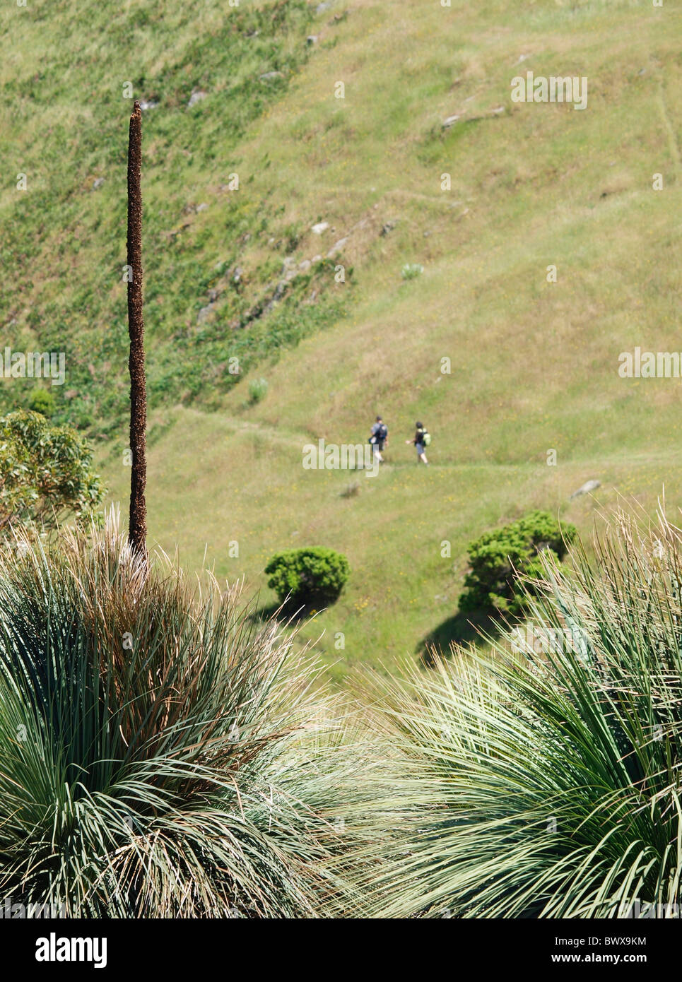 Due distanti Walkers sul sentiero HEYSON, Deep Creek Conservation Park, Fleurieu Peninsula SOUTH AUSTRALIA Foto Stock