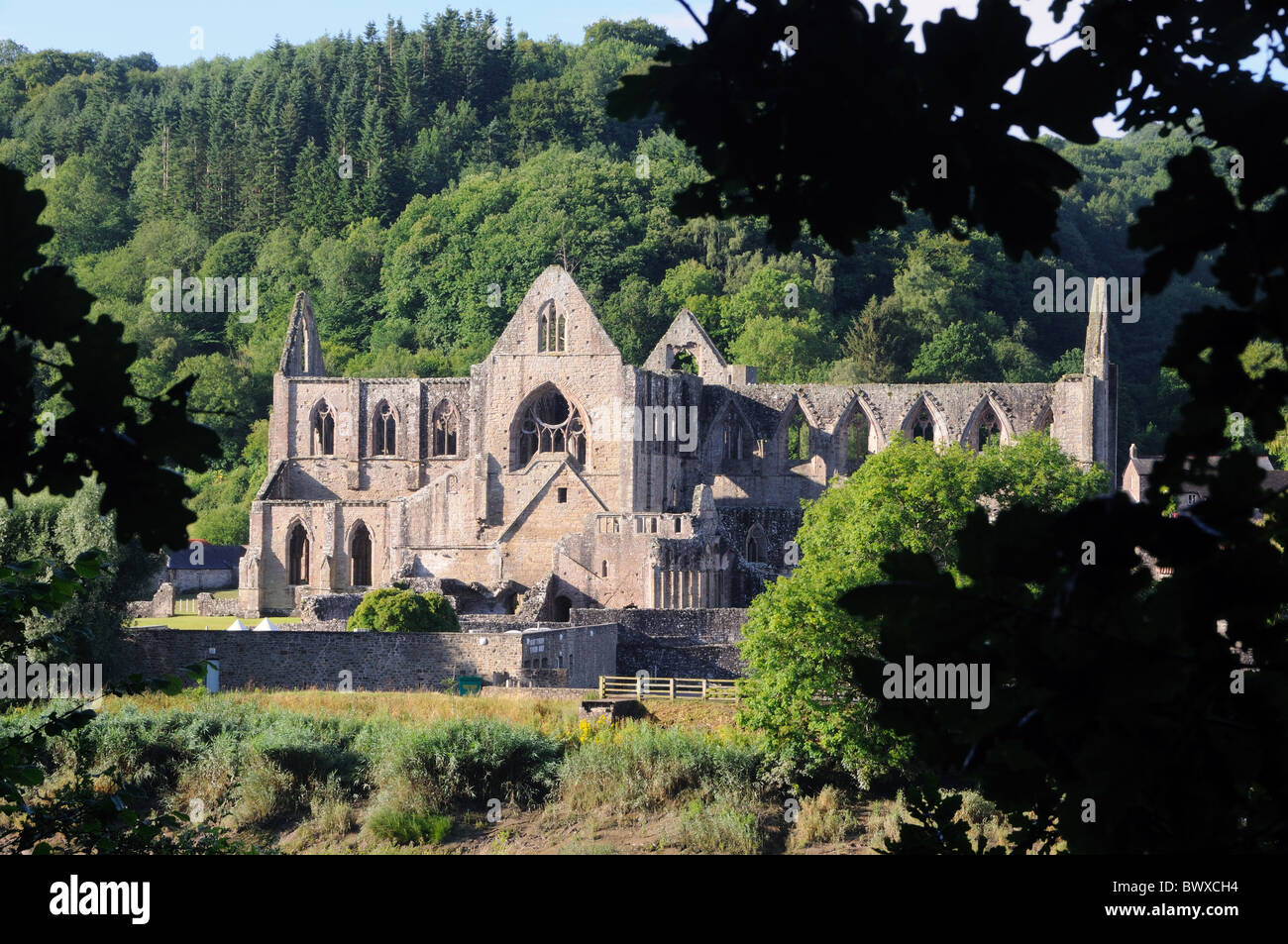 Le rovine di Tintern Abbey, in Tintern, Monmouthshire, Galles Foto Stock