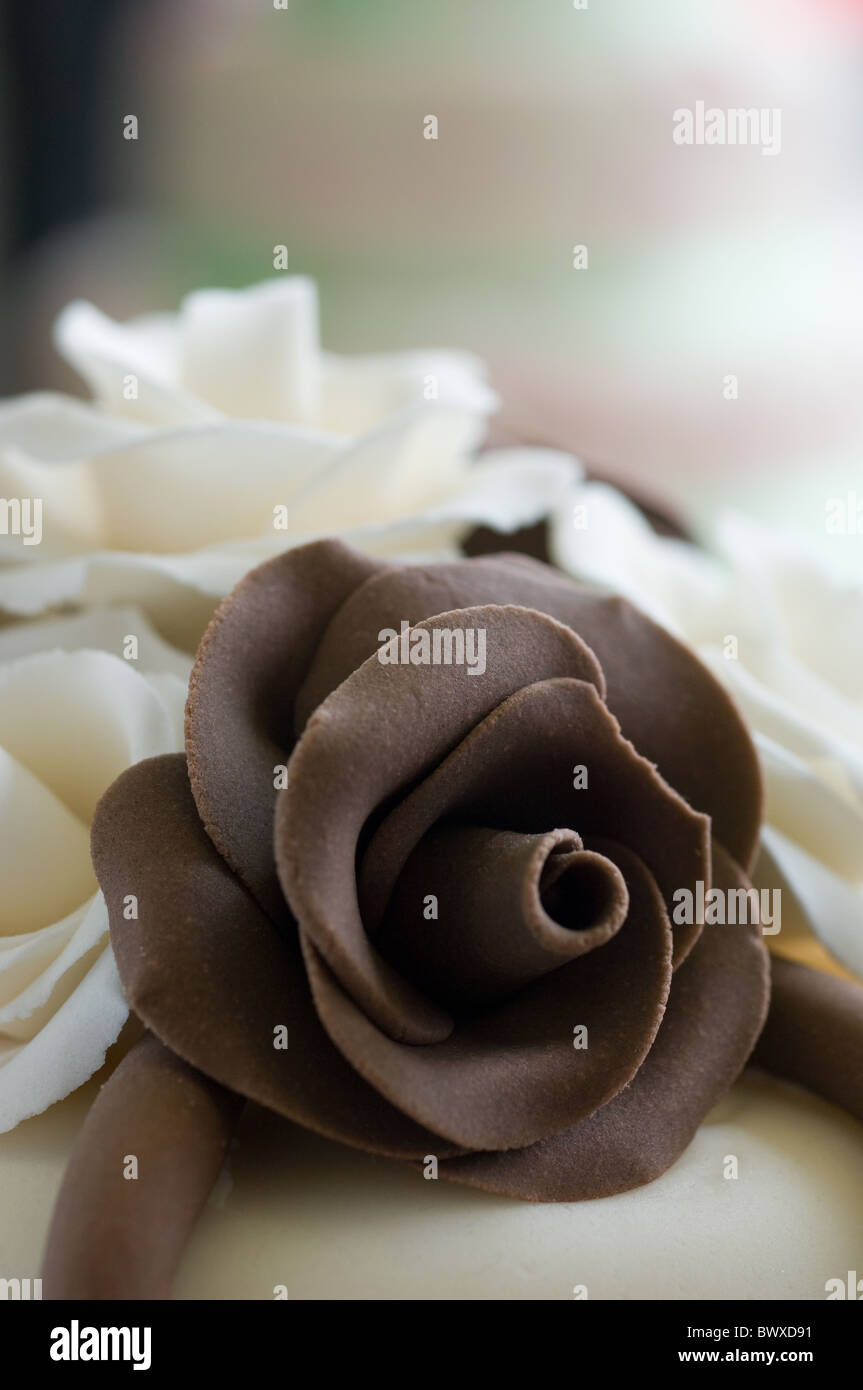 Dettaglio di marrone e crema ghiacciata di celebrazione torta con le rose e archi Foto Stock