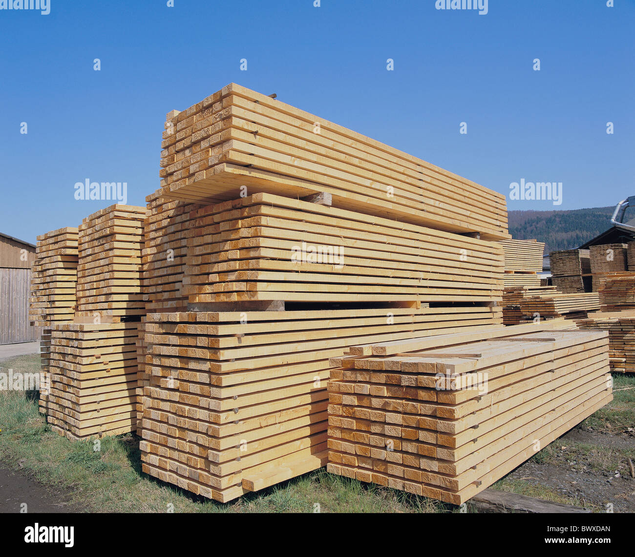 Legno pila di memorizzazione di grandi quantità dei blocchi di legno squadrati preinstallato bottega del falegname industria di trasformazione camp ware Foto Stock