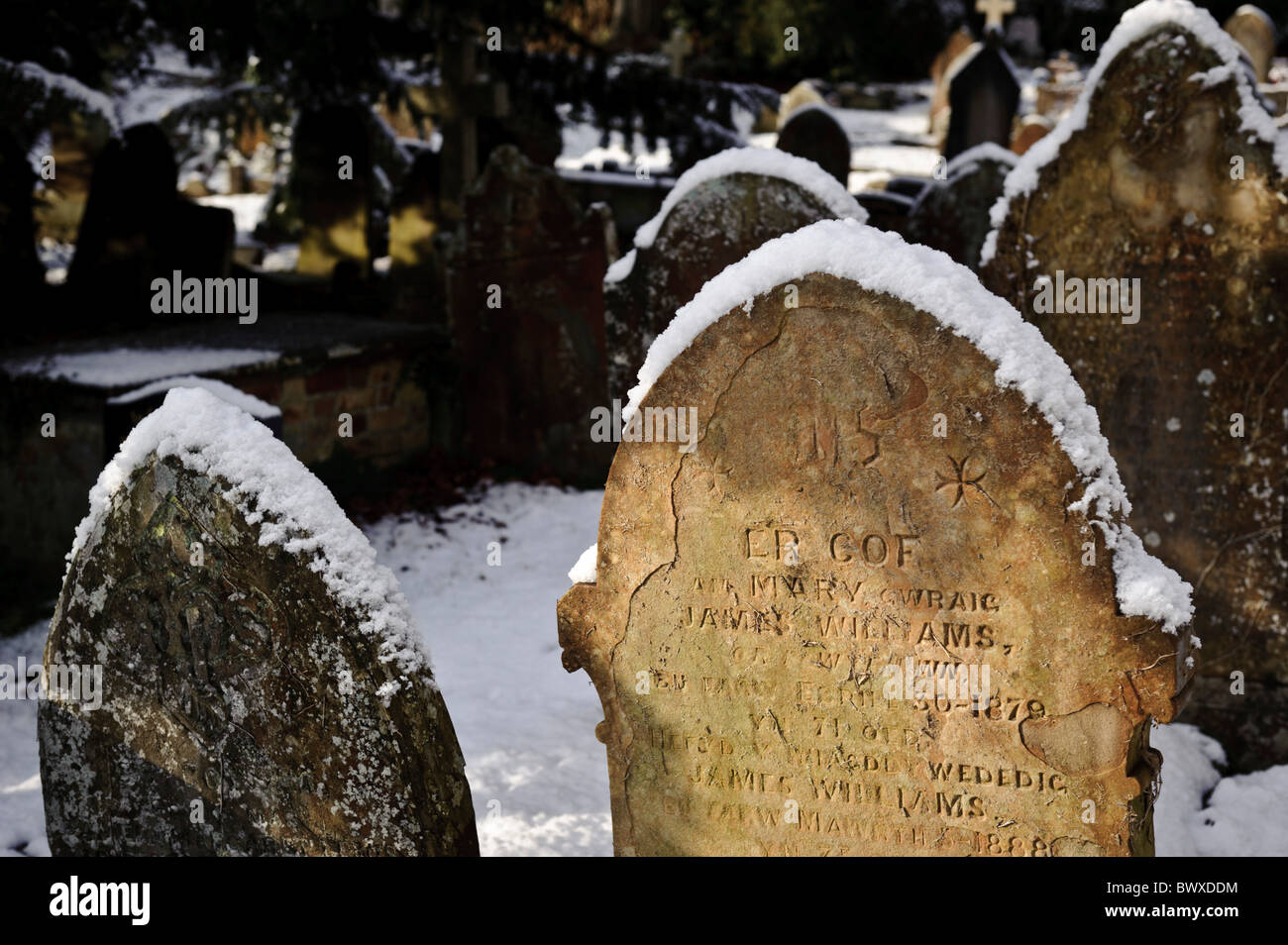 Coperte di neve lapidi in un cimitero gallese. Foto Stock