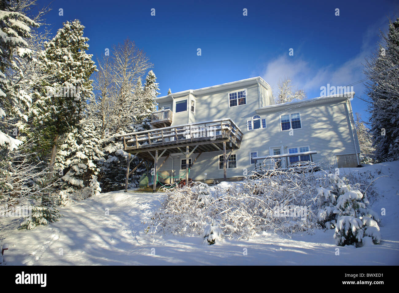 Casa canadese dopo nevicate invernali con cielo blu e coperta di neve alberi in New Brunswick Foto Stock