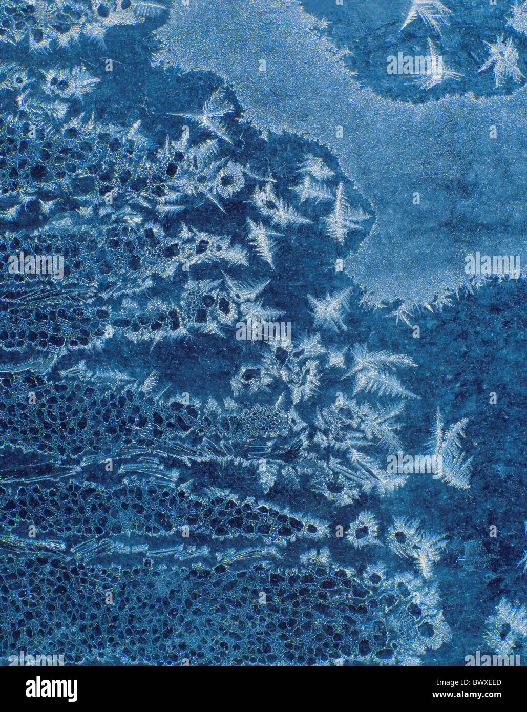 Gelo invernale fiori immaginazione patterns sfondo blu ghiaccio-cristalli Foto Stock