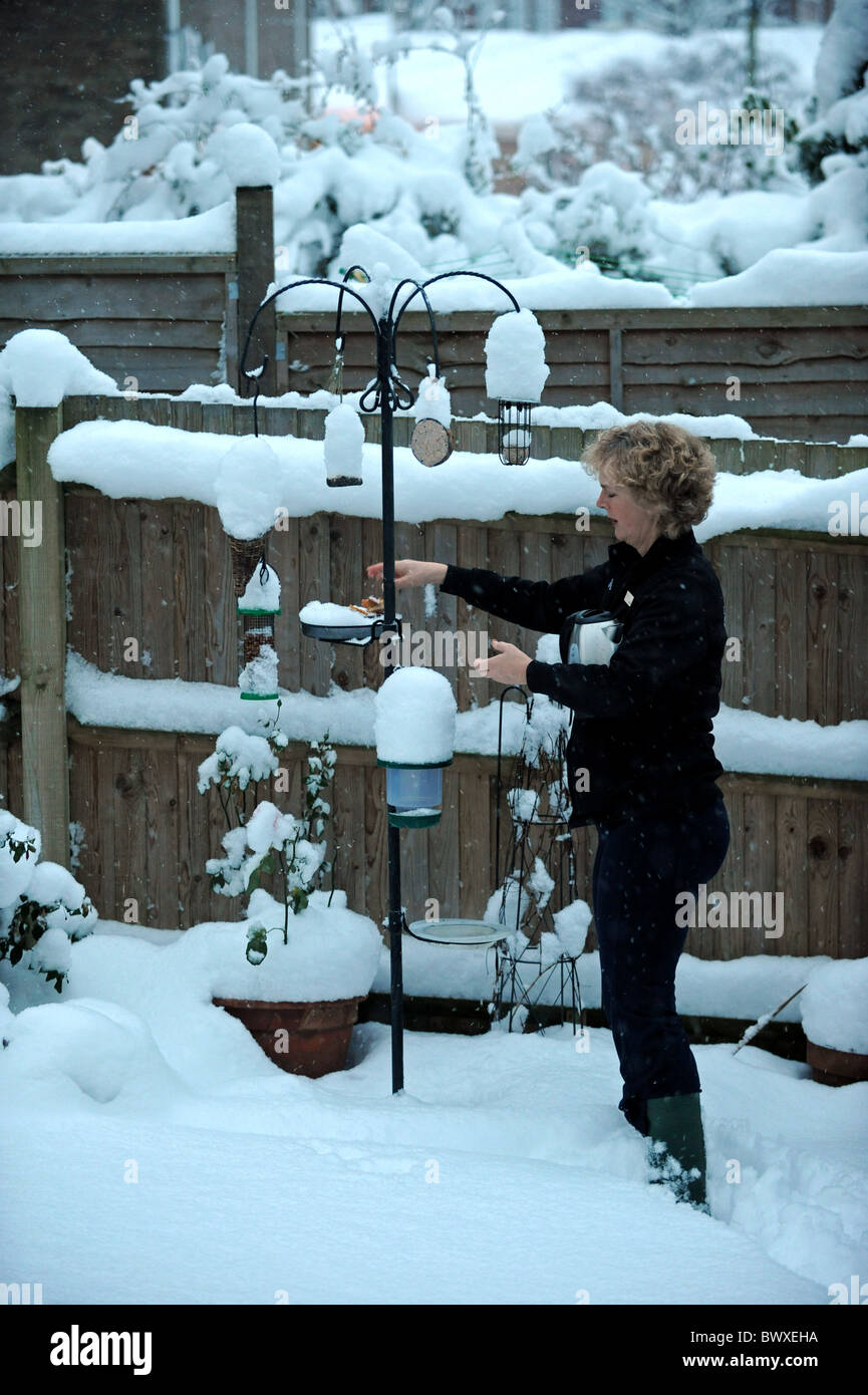 Una donna si cancella la neve dal suo giardino birdfeeder in Brighton SUSSEX REGNO UNITO questa mattina Foto Stock