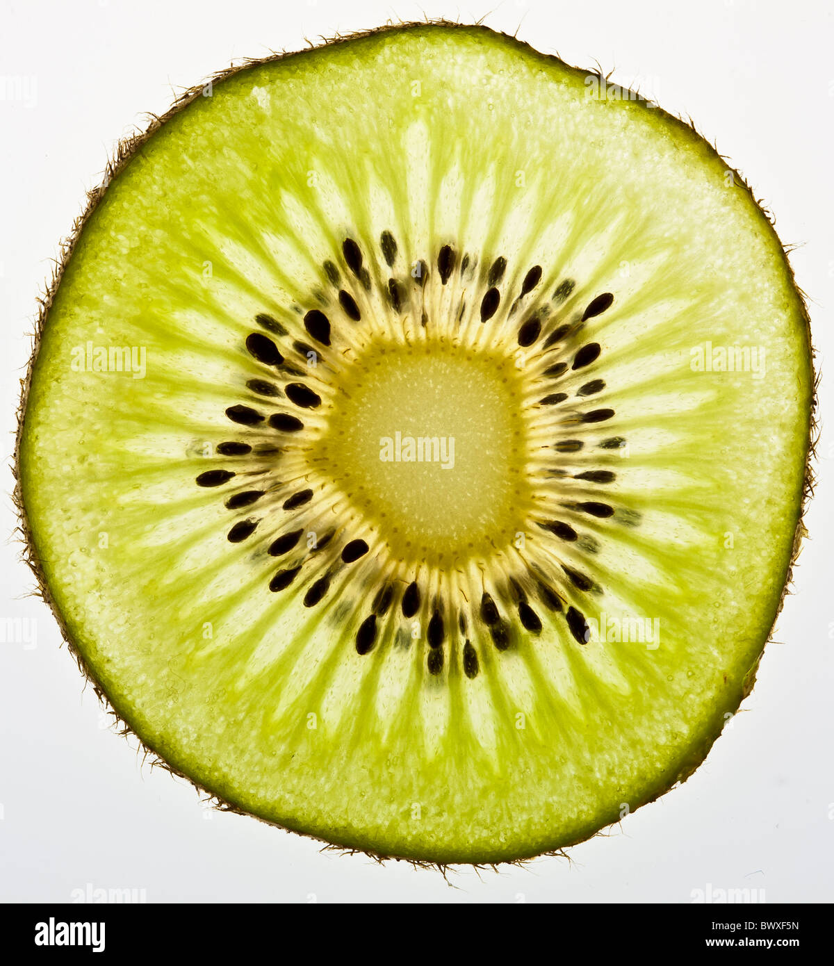 Primo piano retroilluminato di un kiwi frutta con semi e buccia Foto Stock