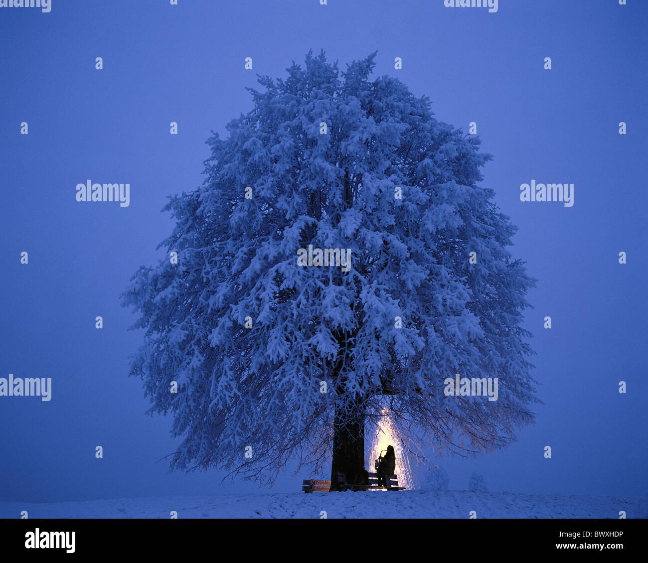 Albero coperto di neve e neve fuochi d'artificio di notte sassofonista silhouette di Capodanno Foto Stock