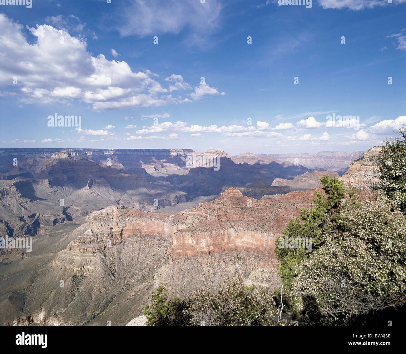 Arizona Grand Canyon gulch scheda panoramica rock USA America Nord America Foto Stock