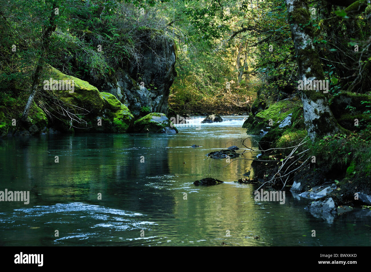 Dosewallips bacino idrografico, Washington Foto Stock